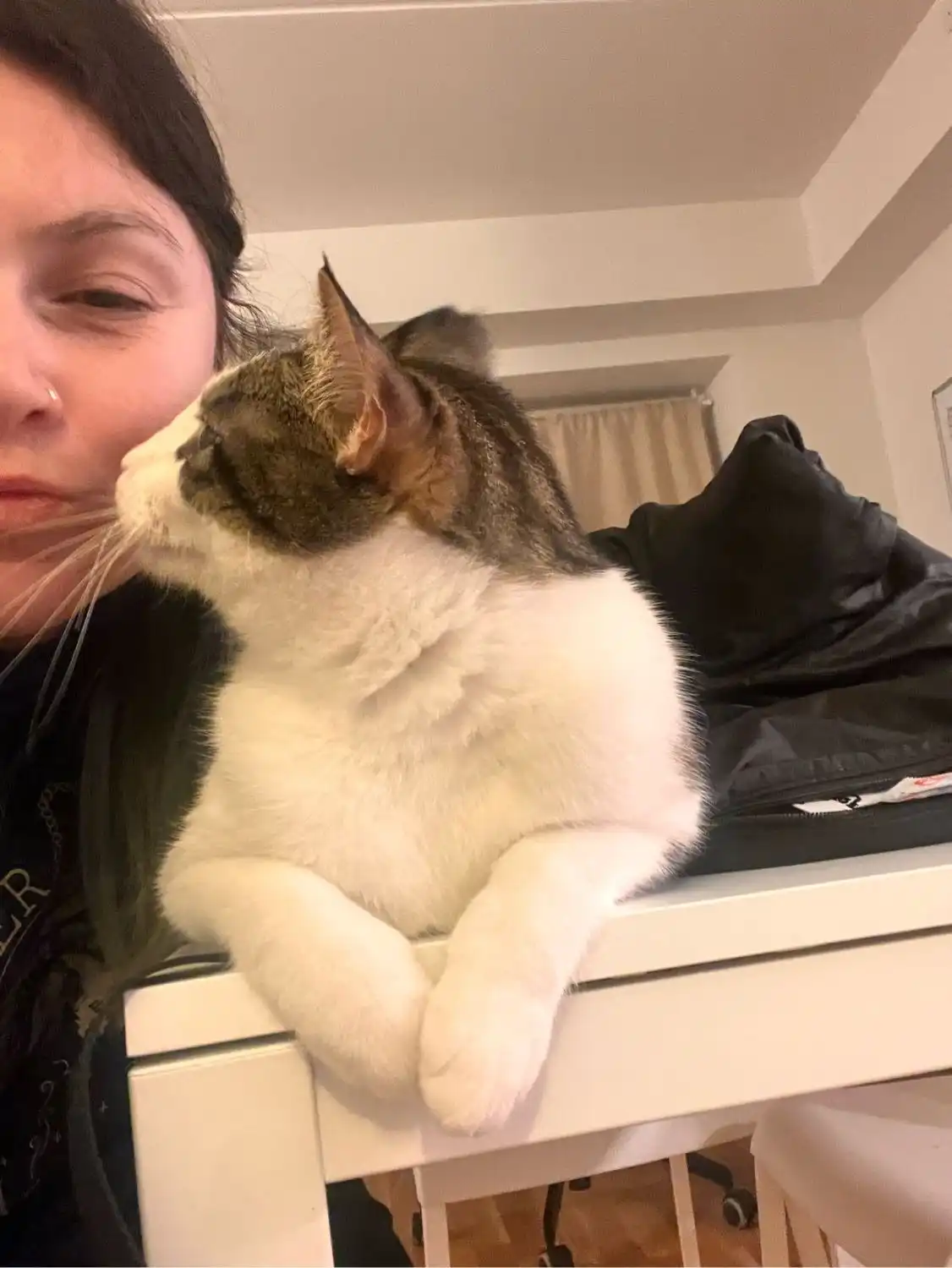 image-8