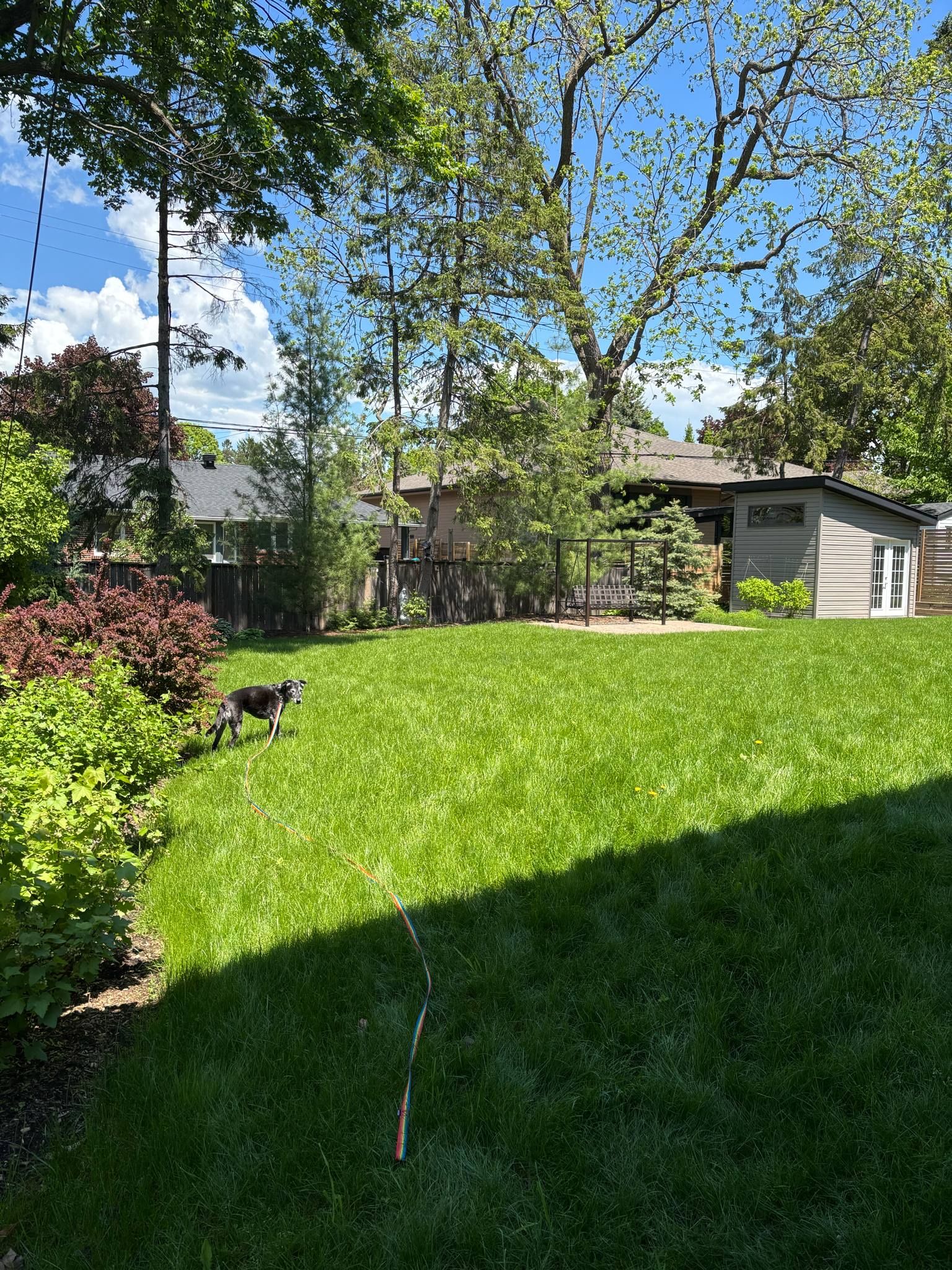 image-14