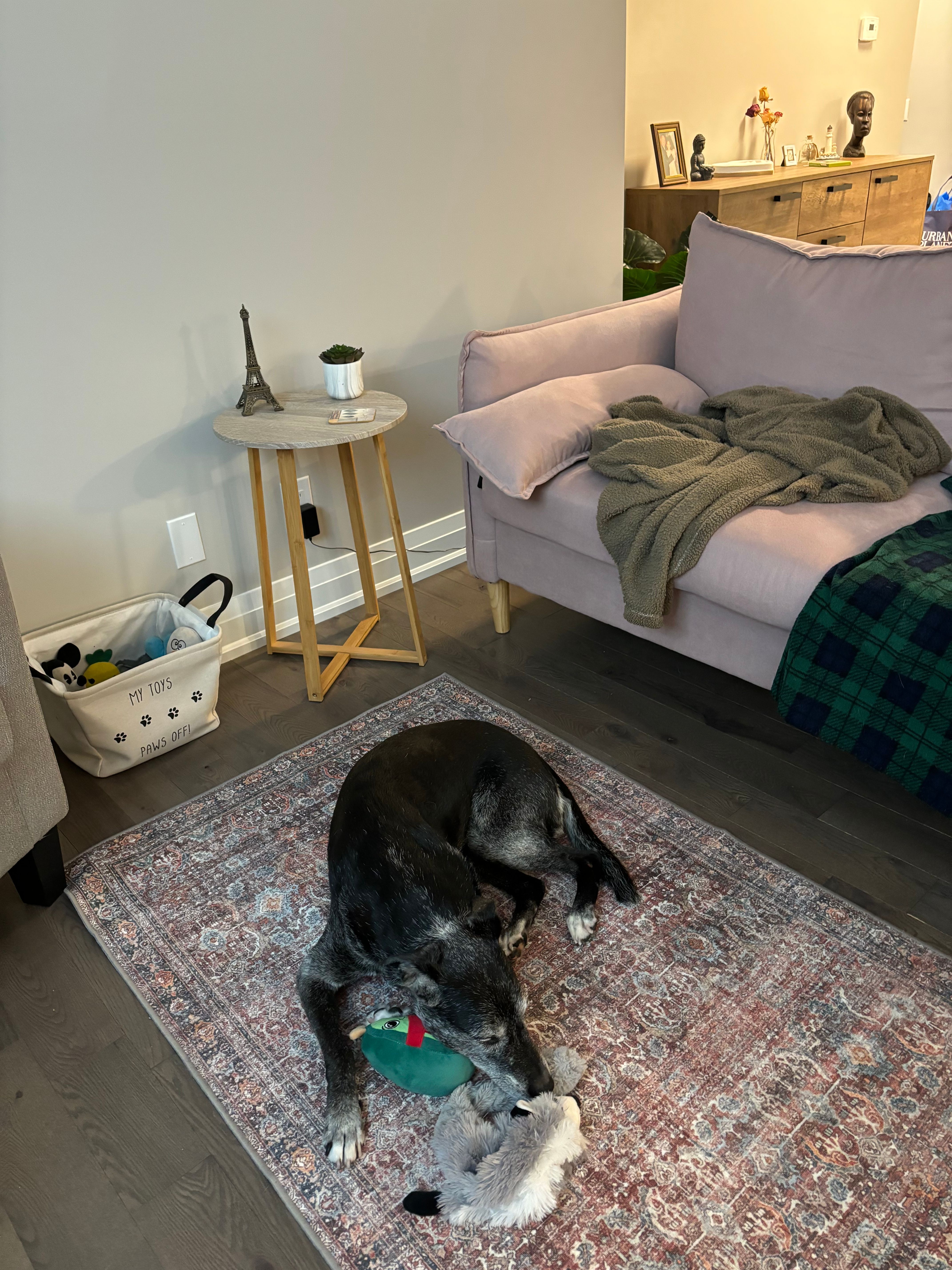 image-15