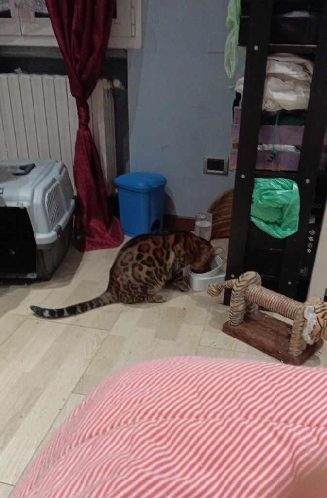 image-16