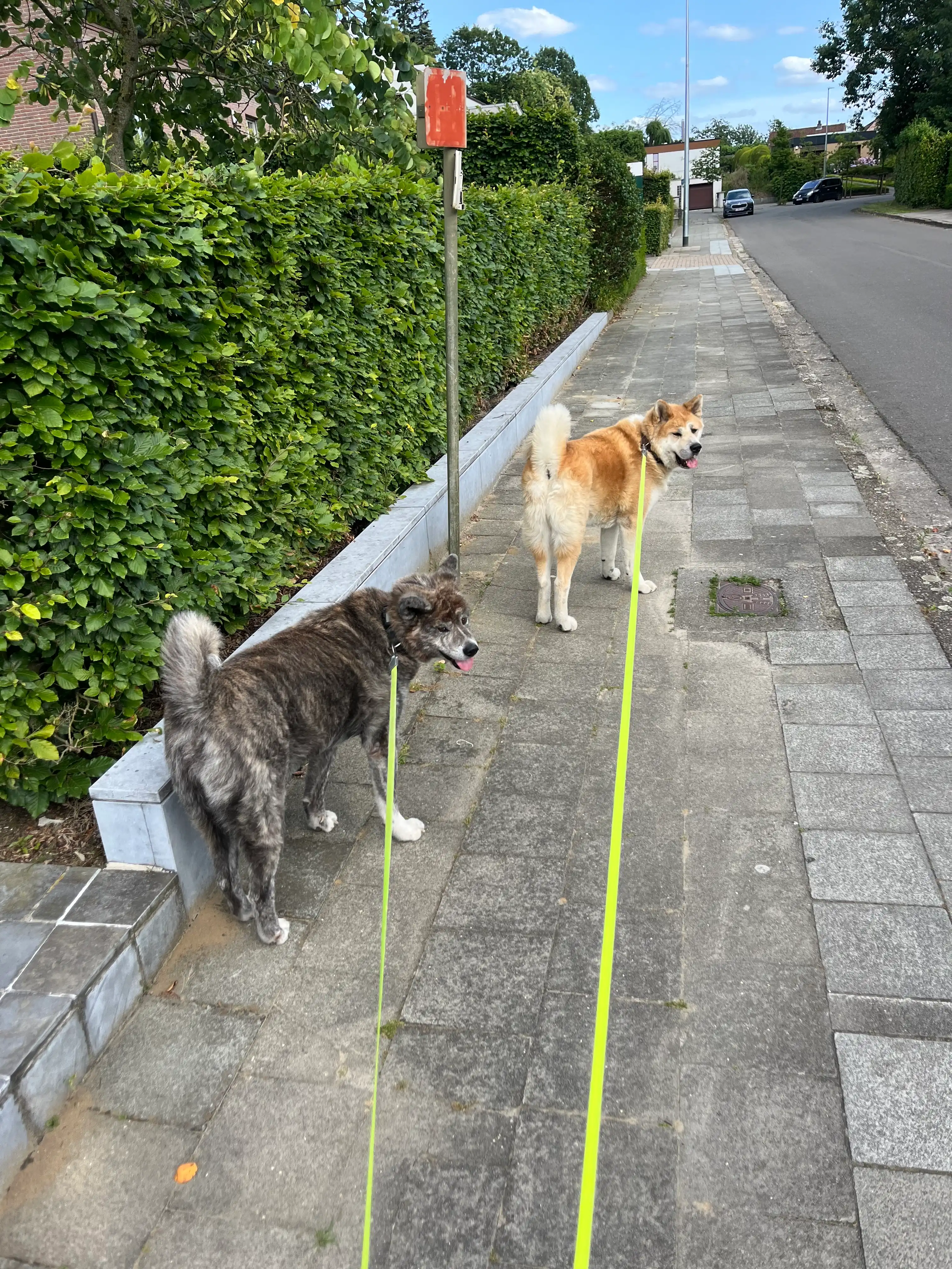 image-10