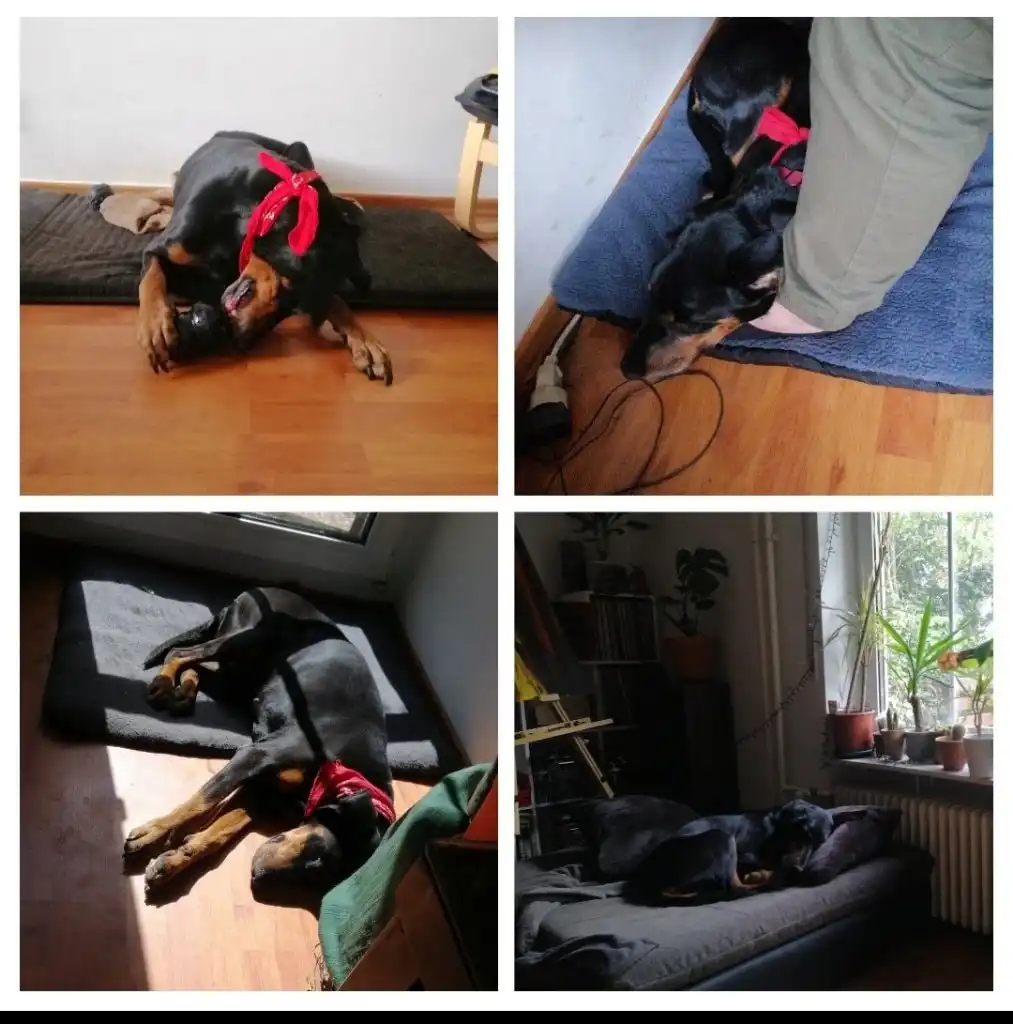 image-23