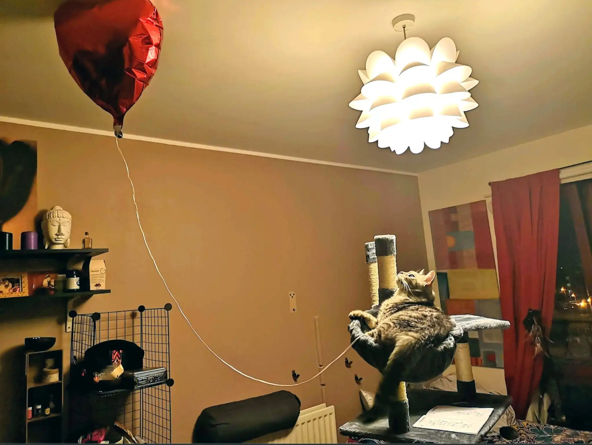 image-7