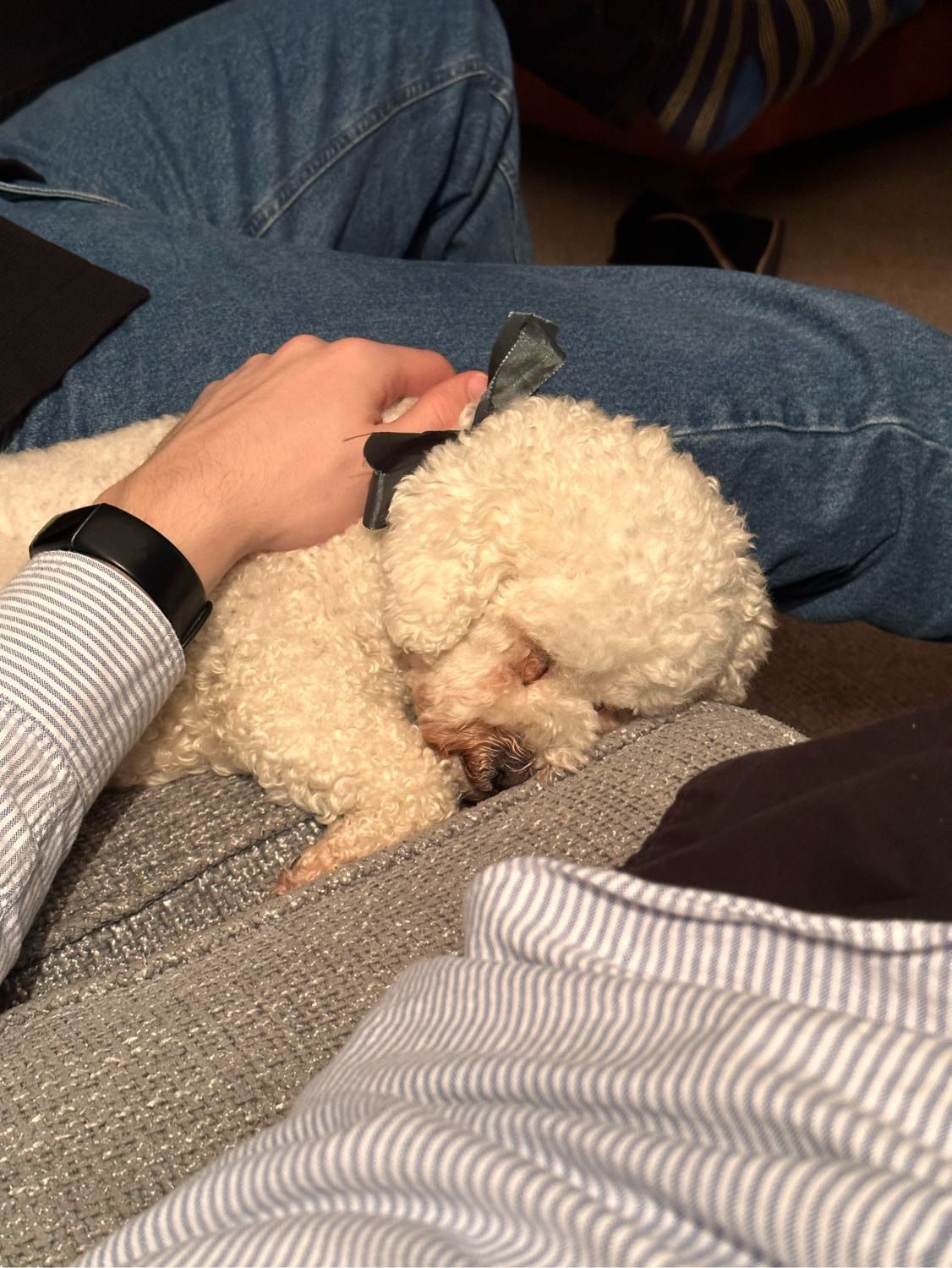 image-10