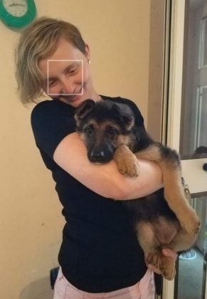 image-7