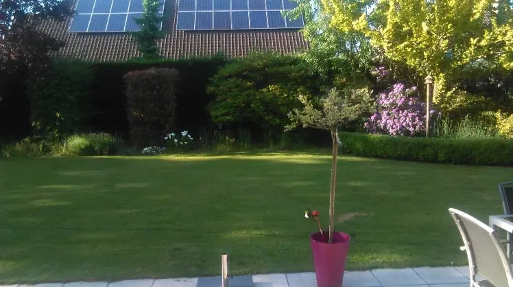 image-3