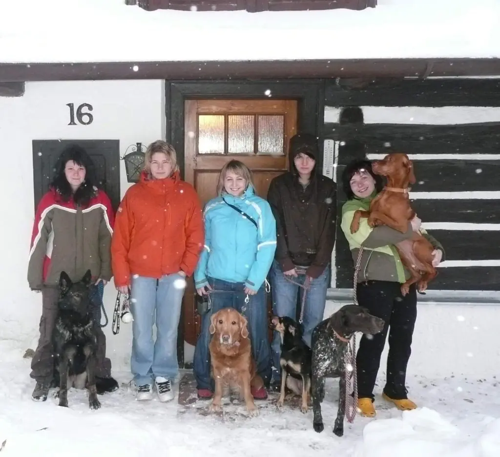 image-4