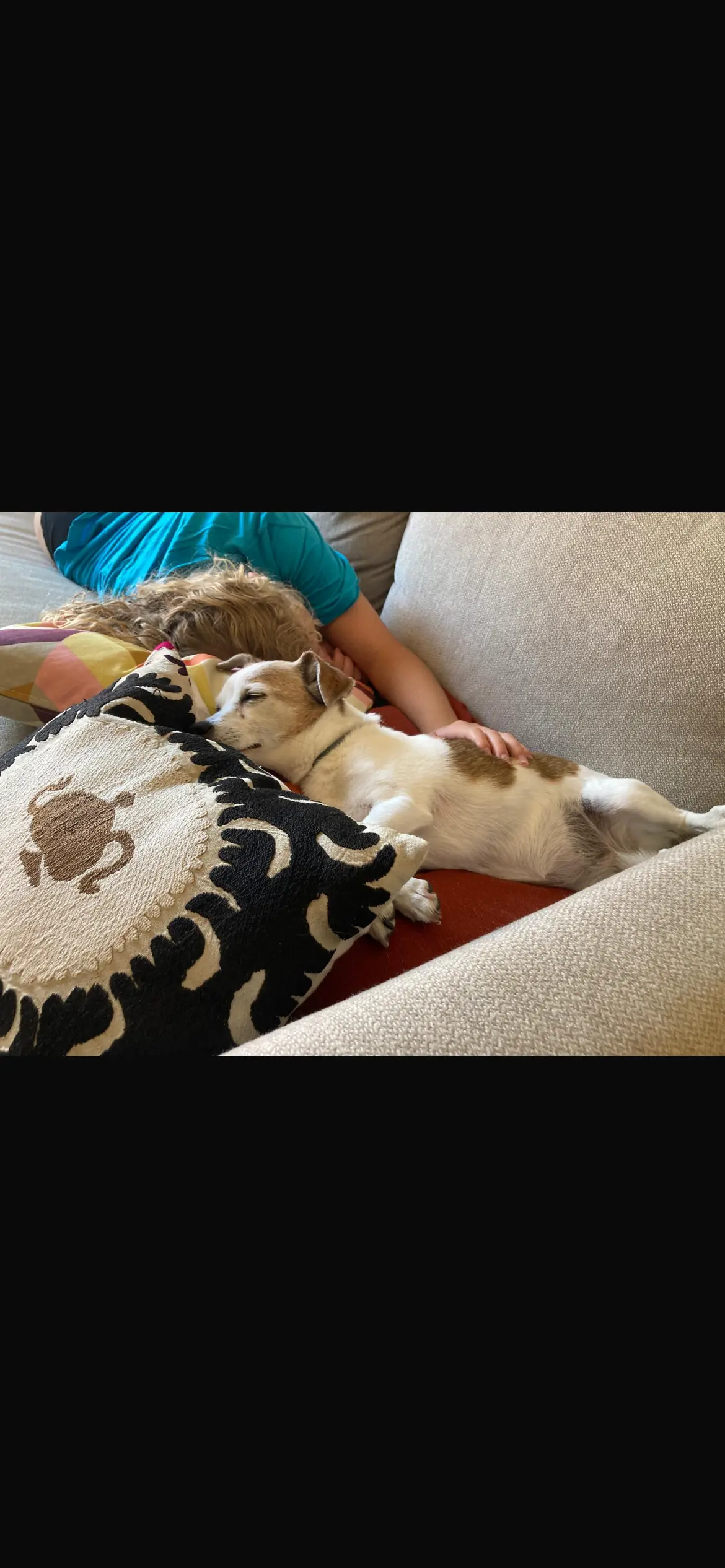 image-2