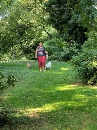 image-17