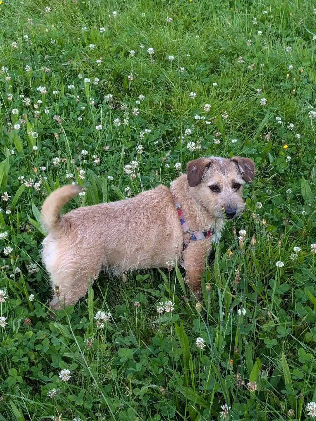 image-6