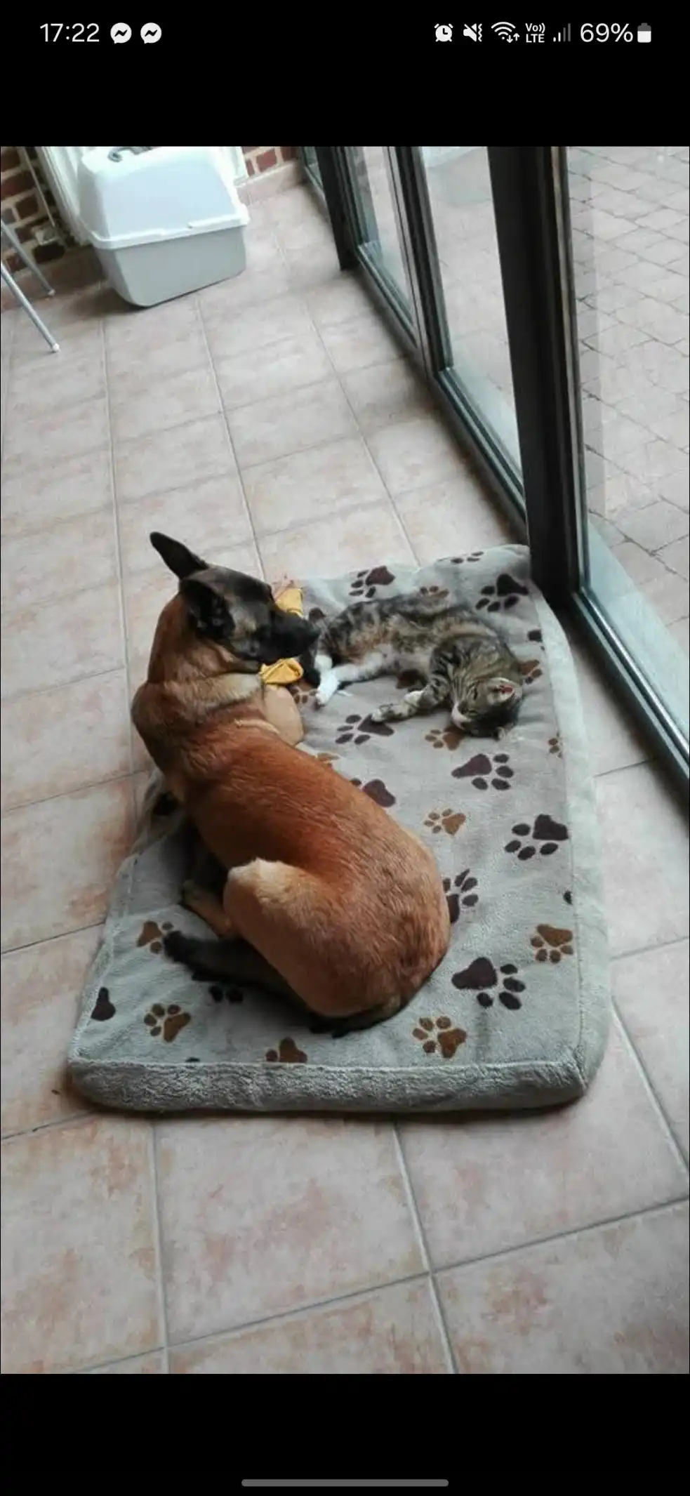 image-16