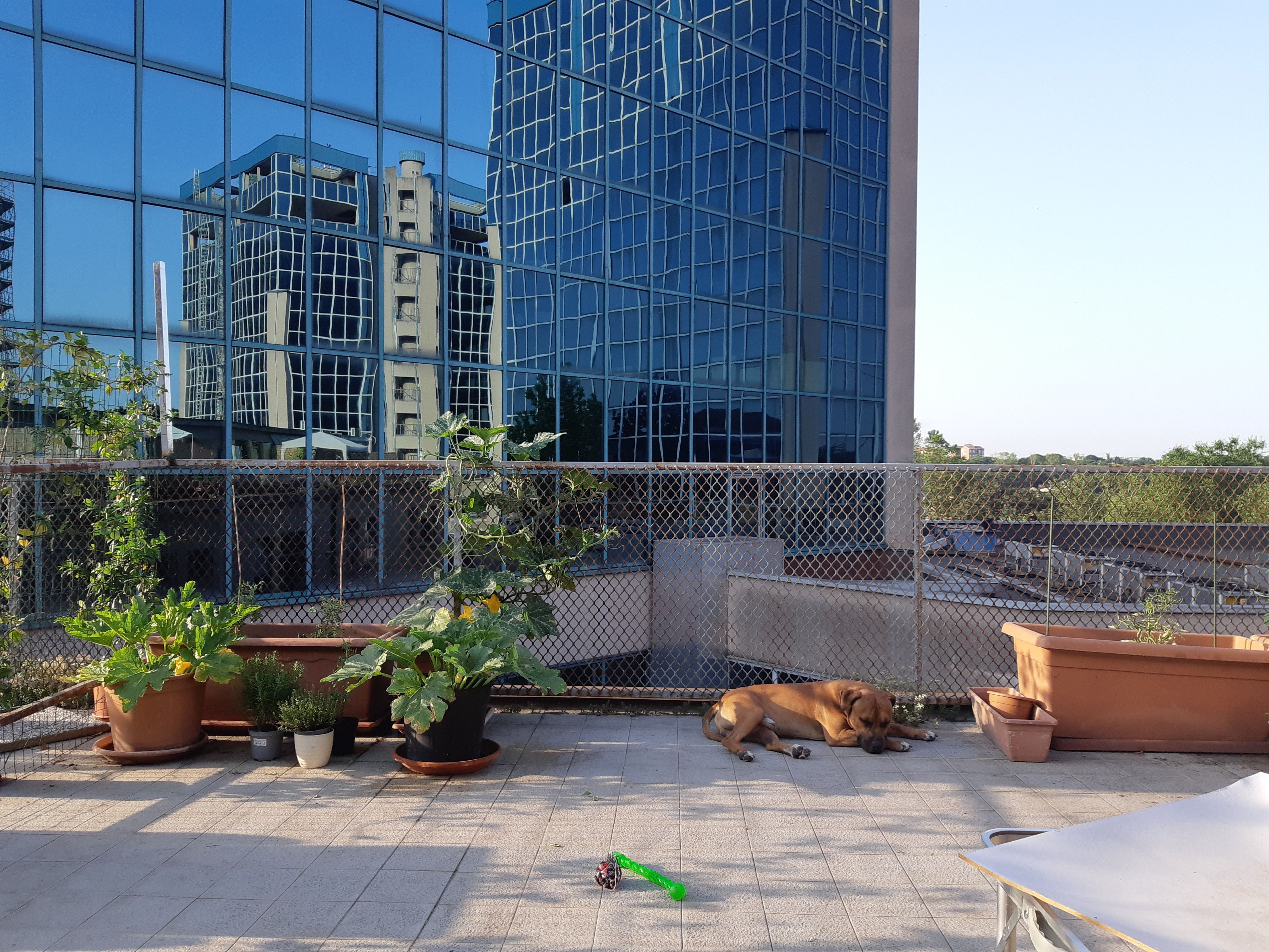 image-5