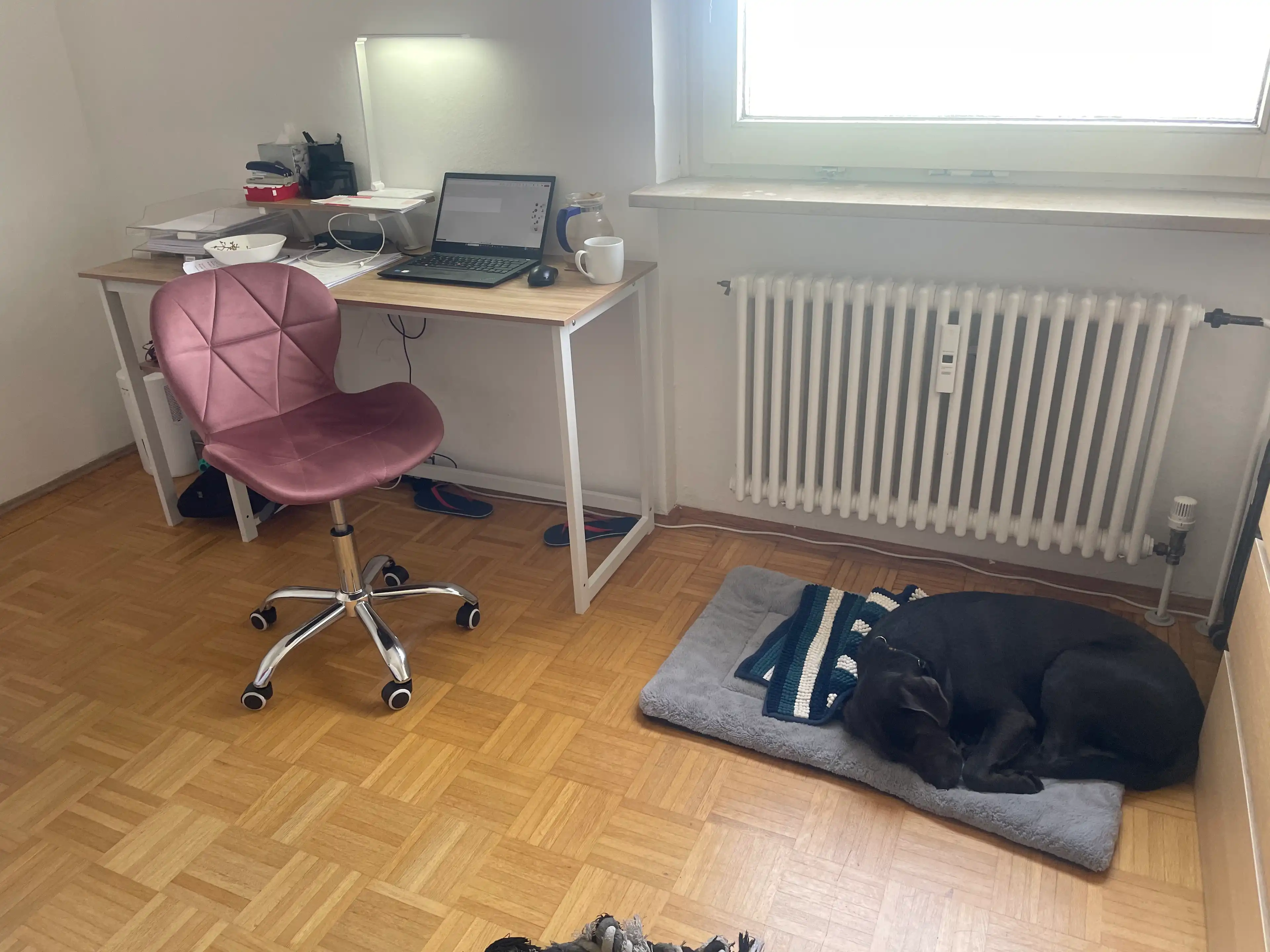 image-20