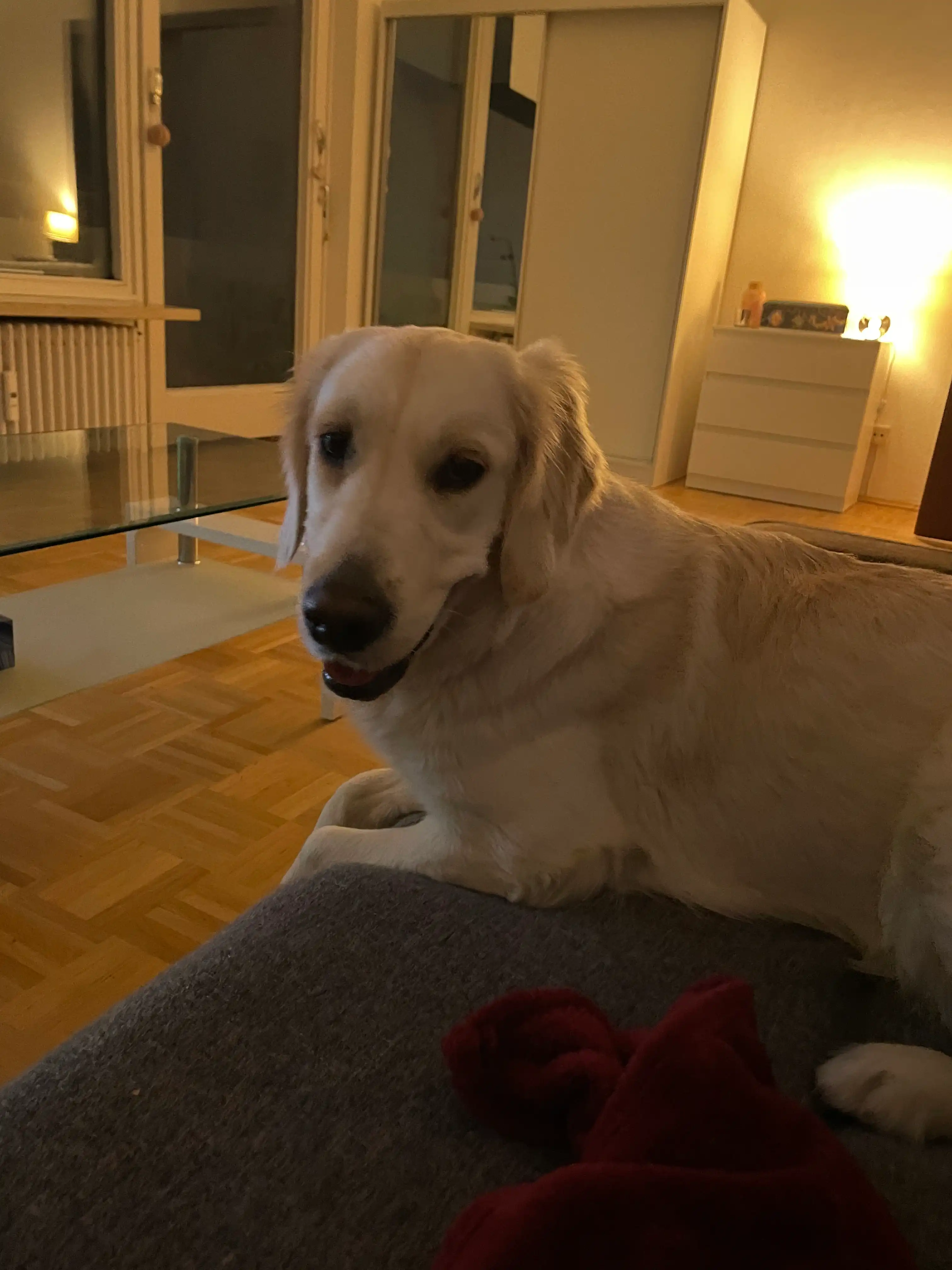 image-25