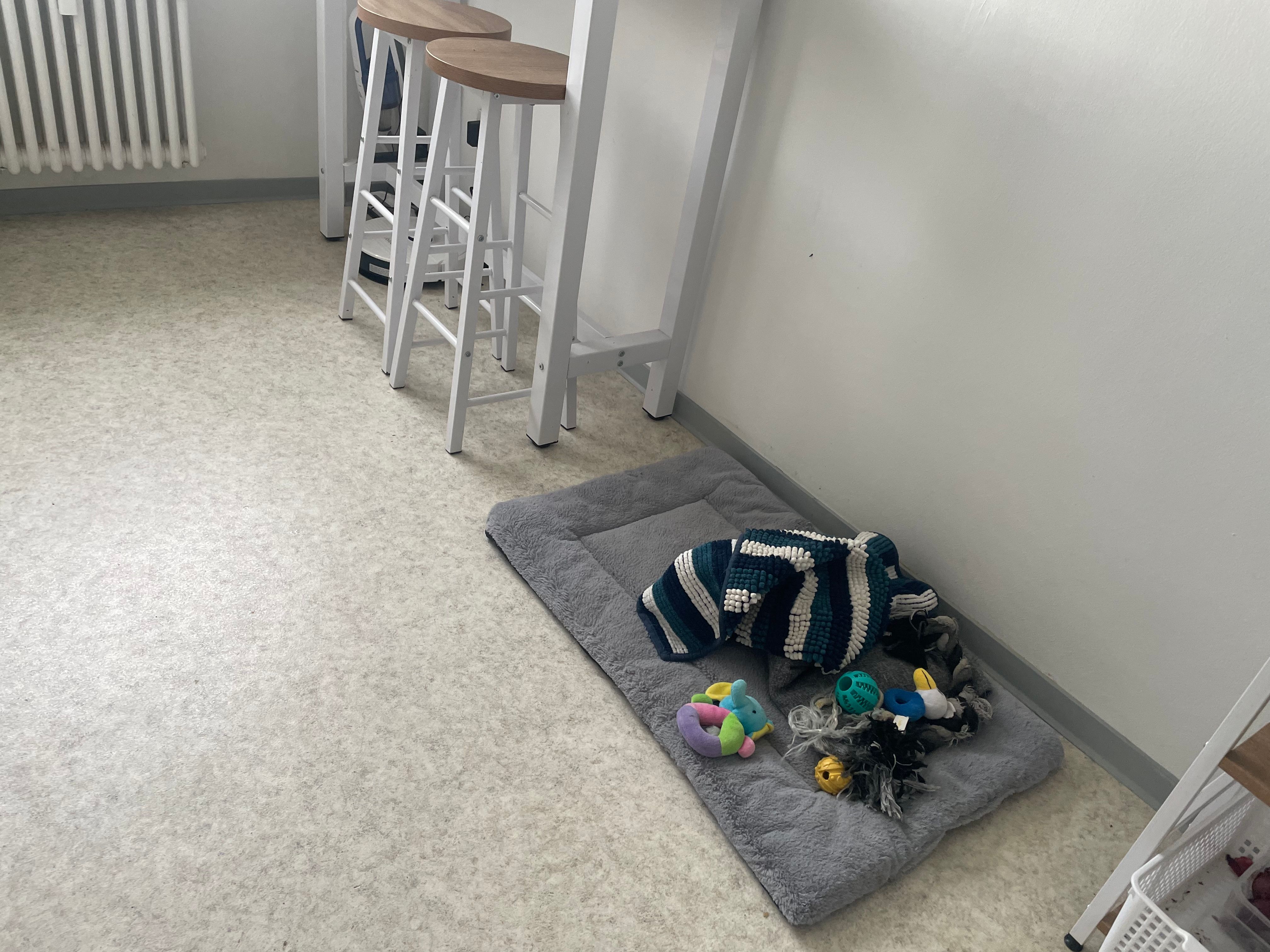 image-14