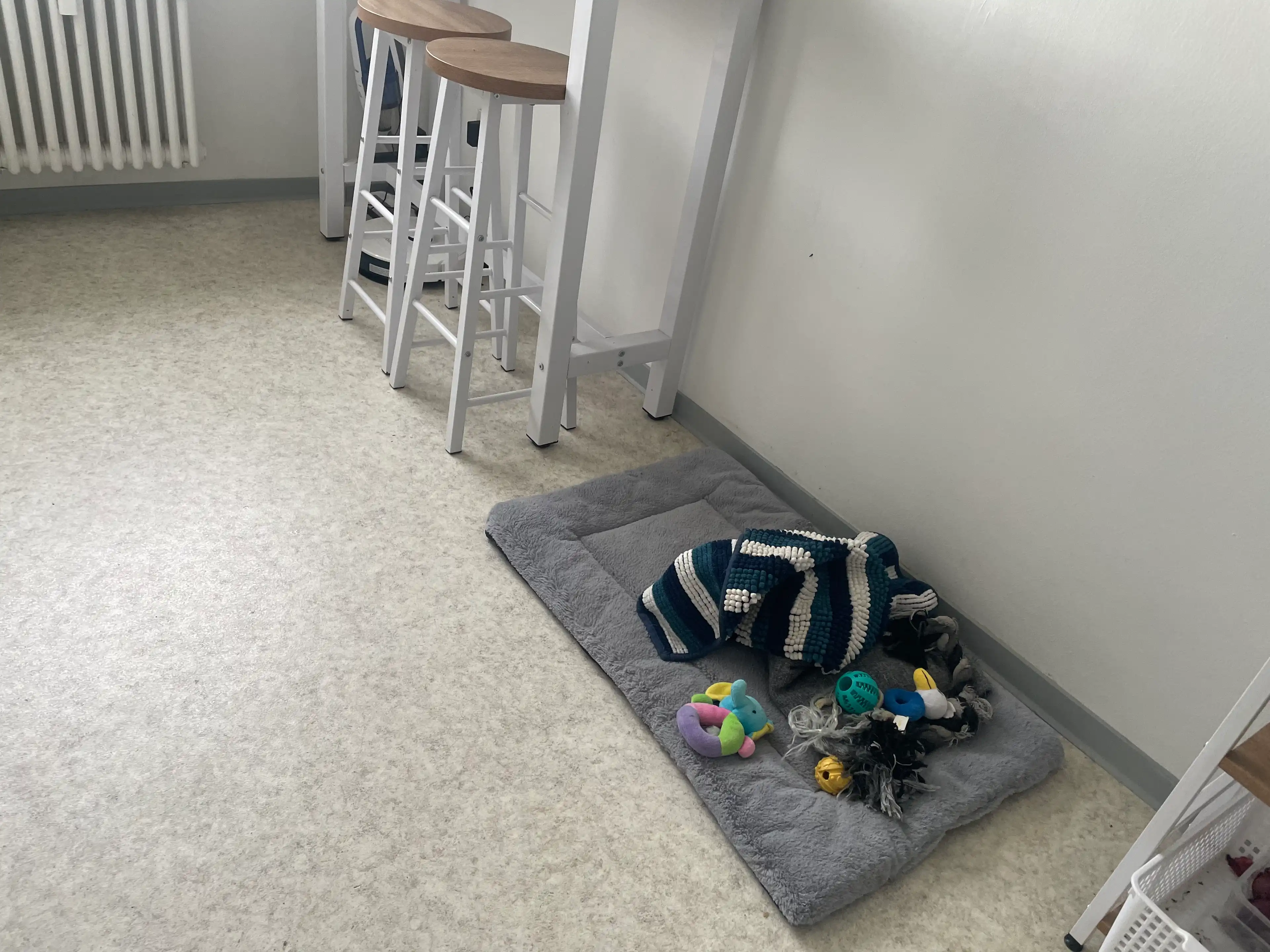 image-14