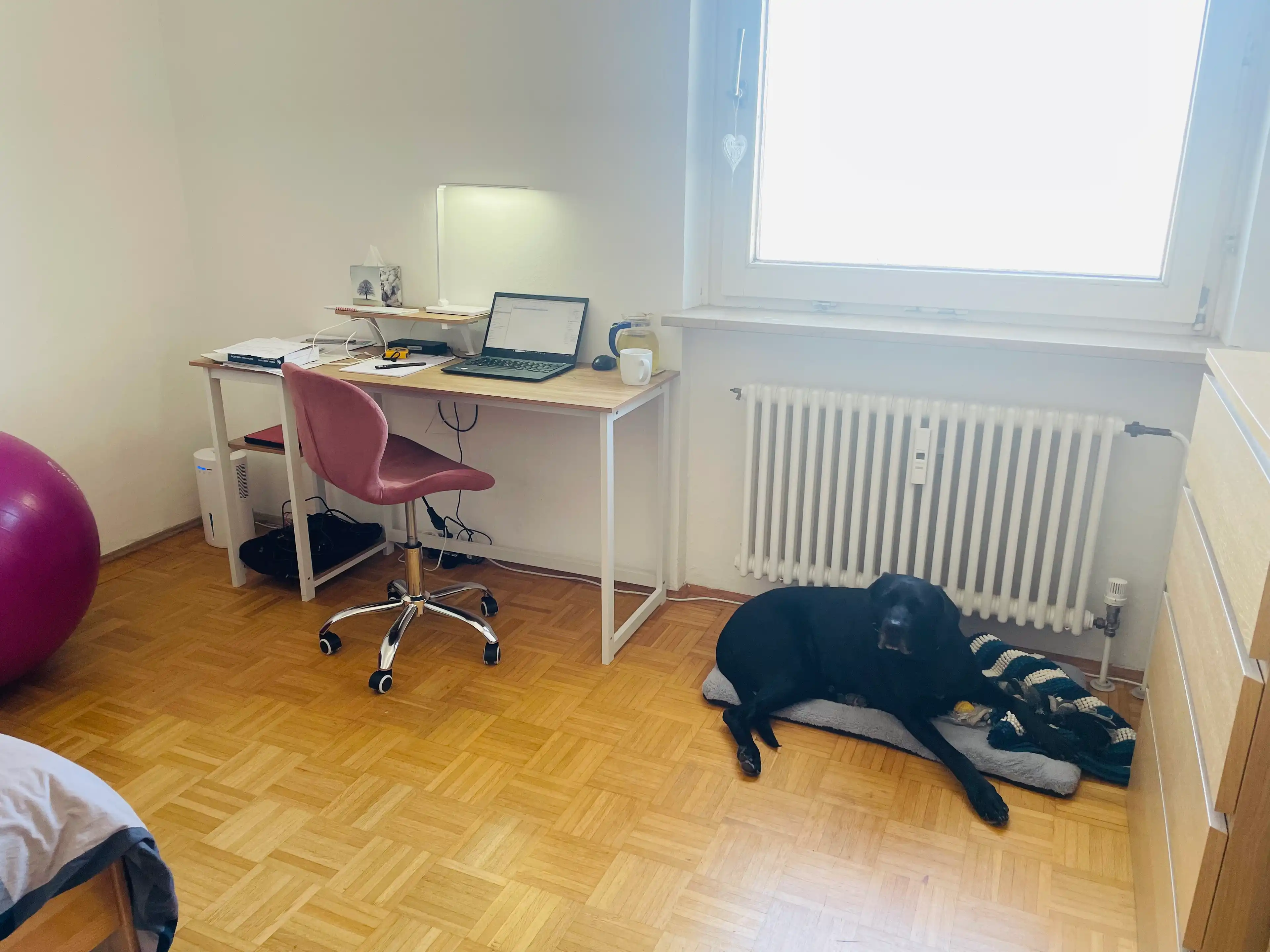 image-18