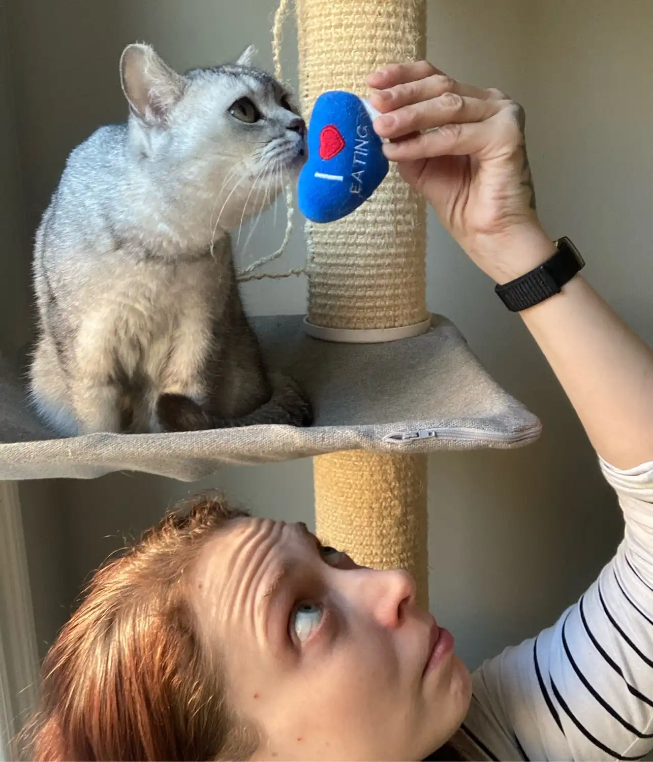 image-8