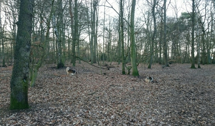 image-5