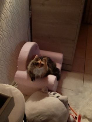 image-6