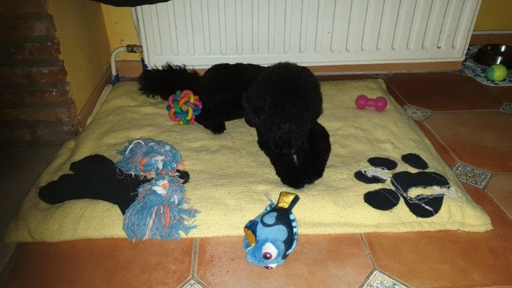 image-10