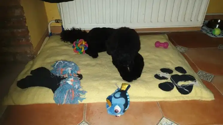 image-10