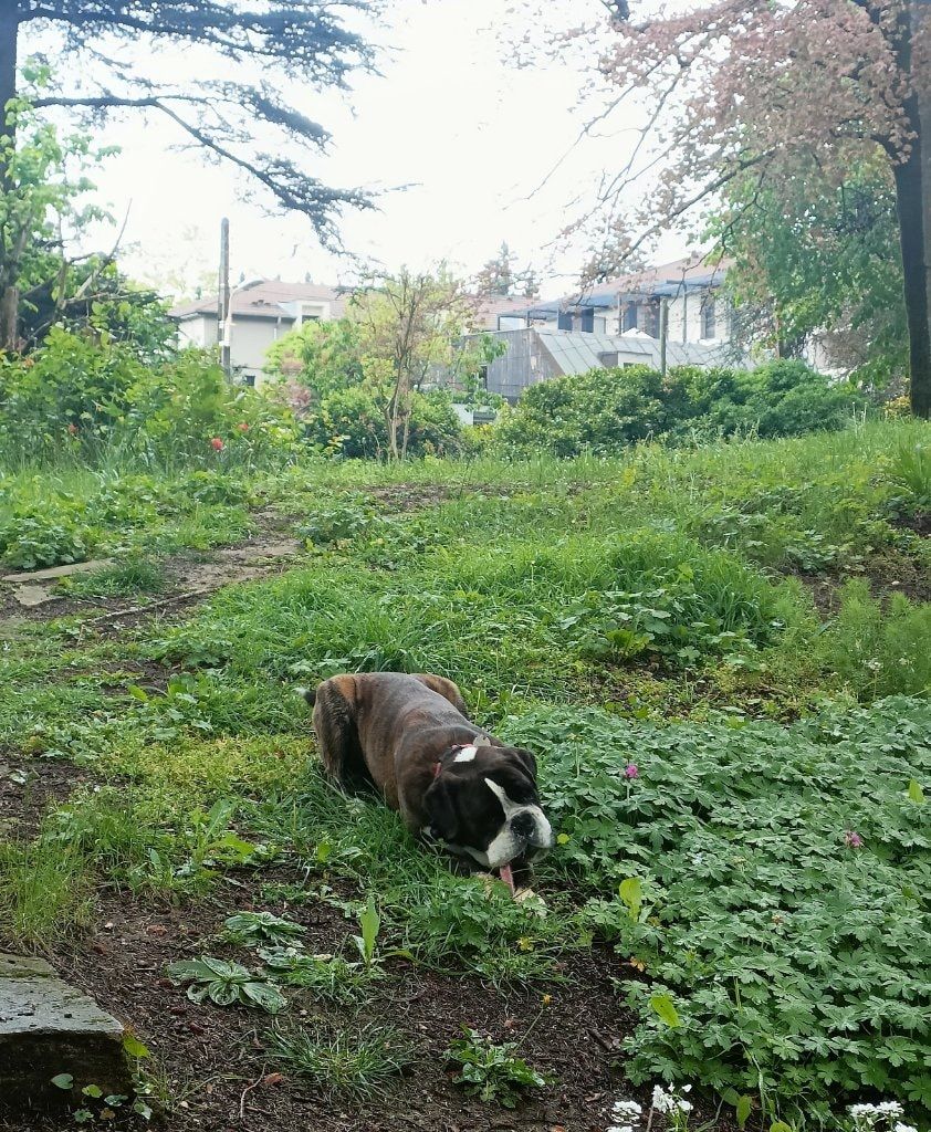 image-5