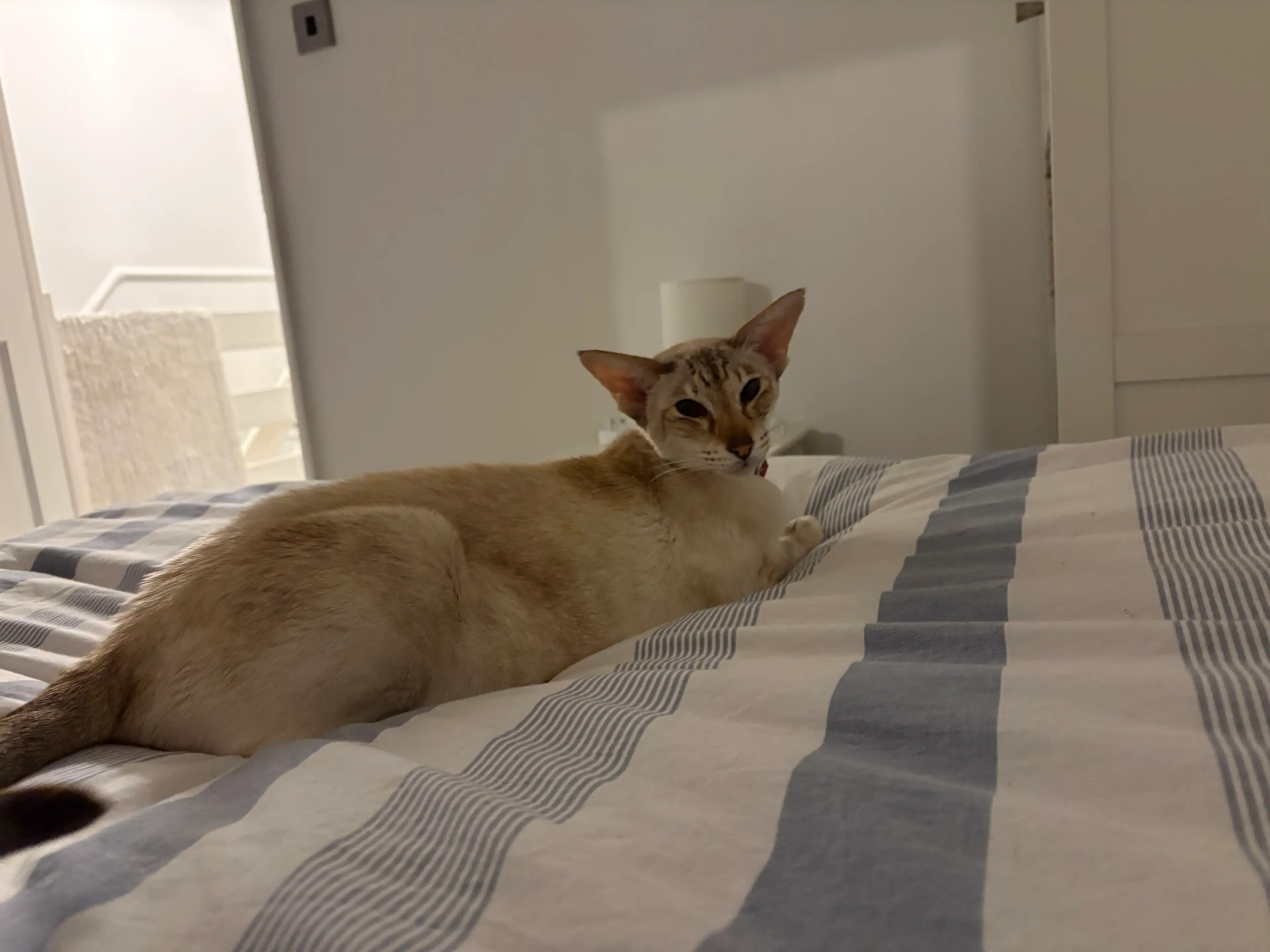 image-18