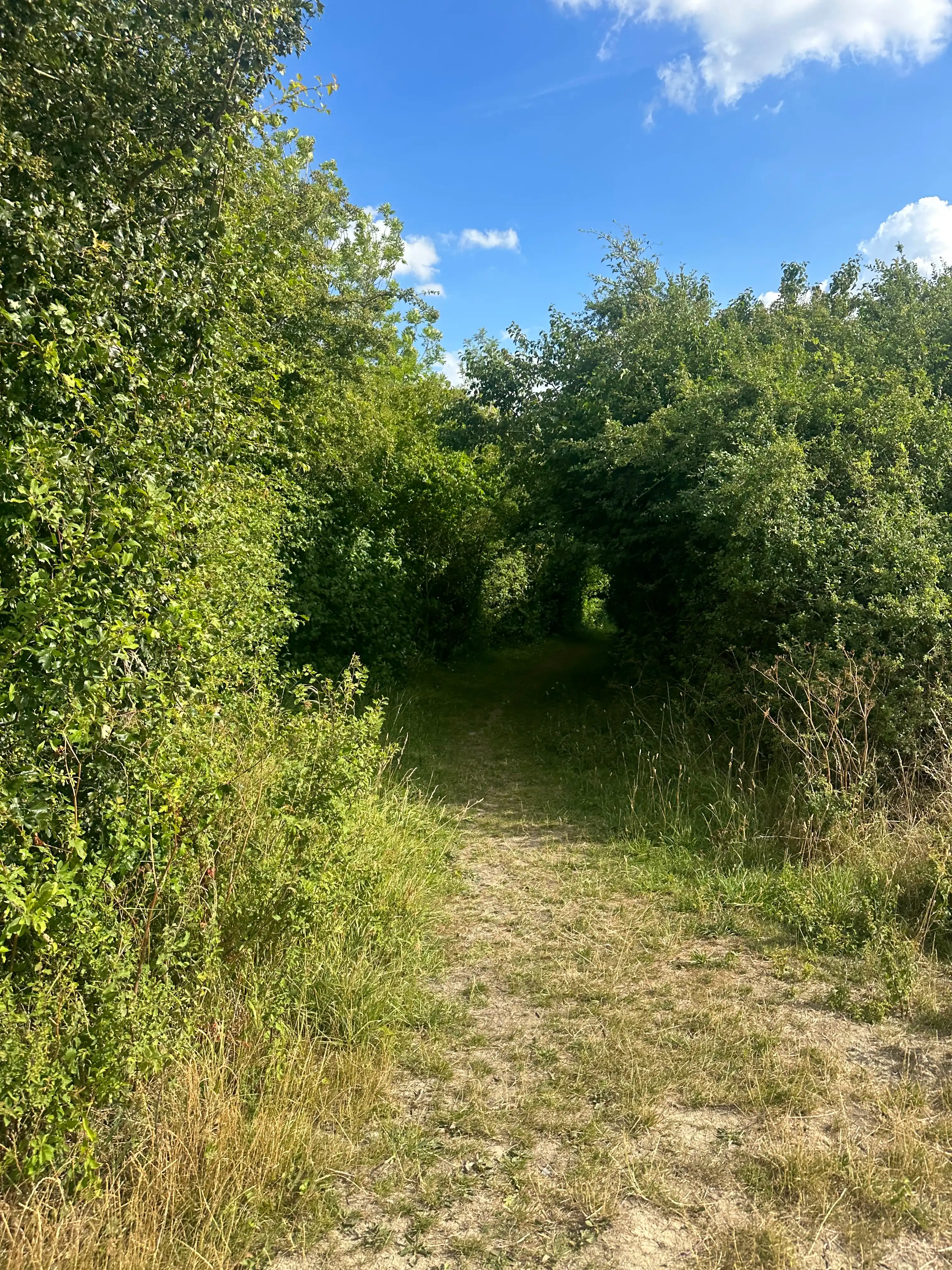 image-22