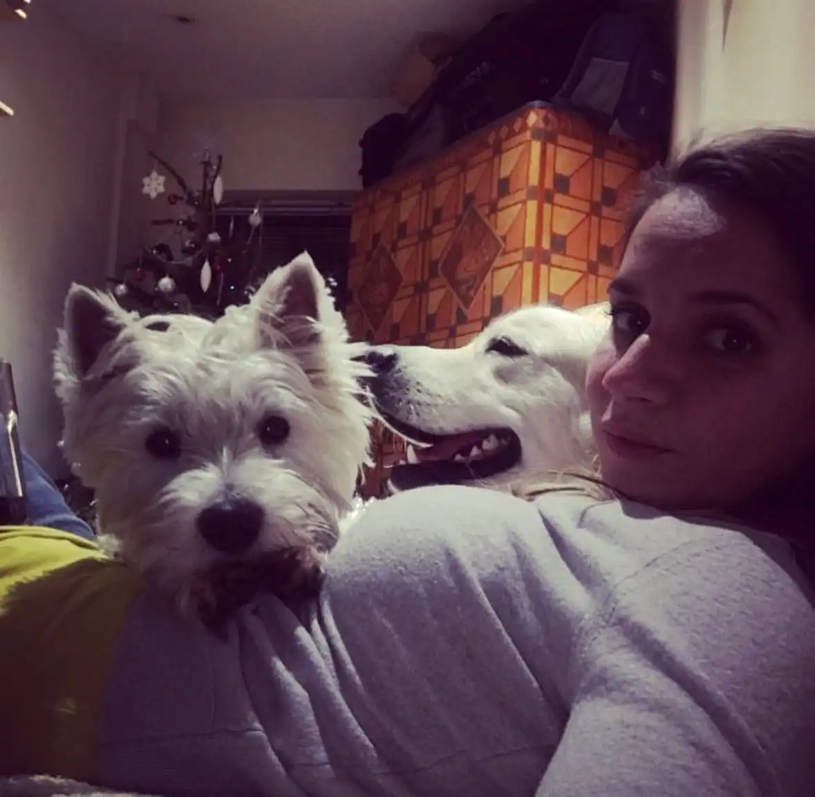 image-6