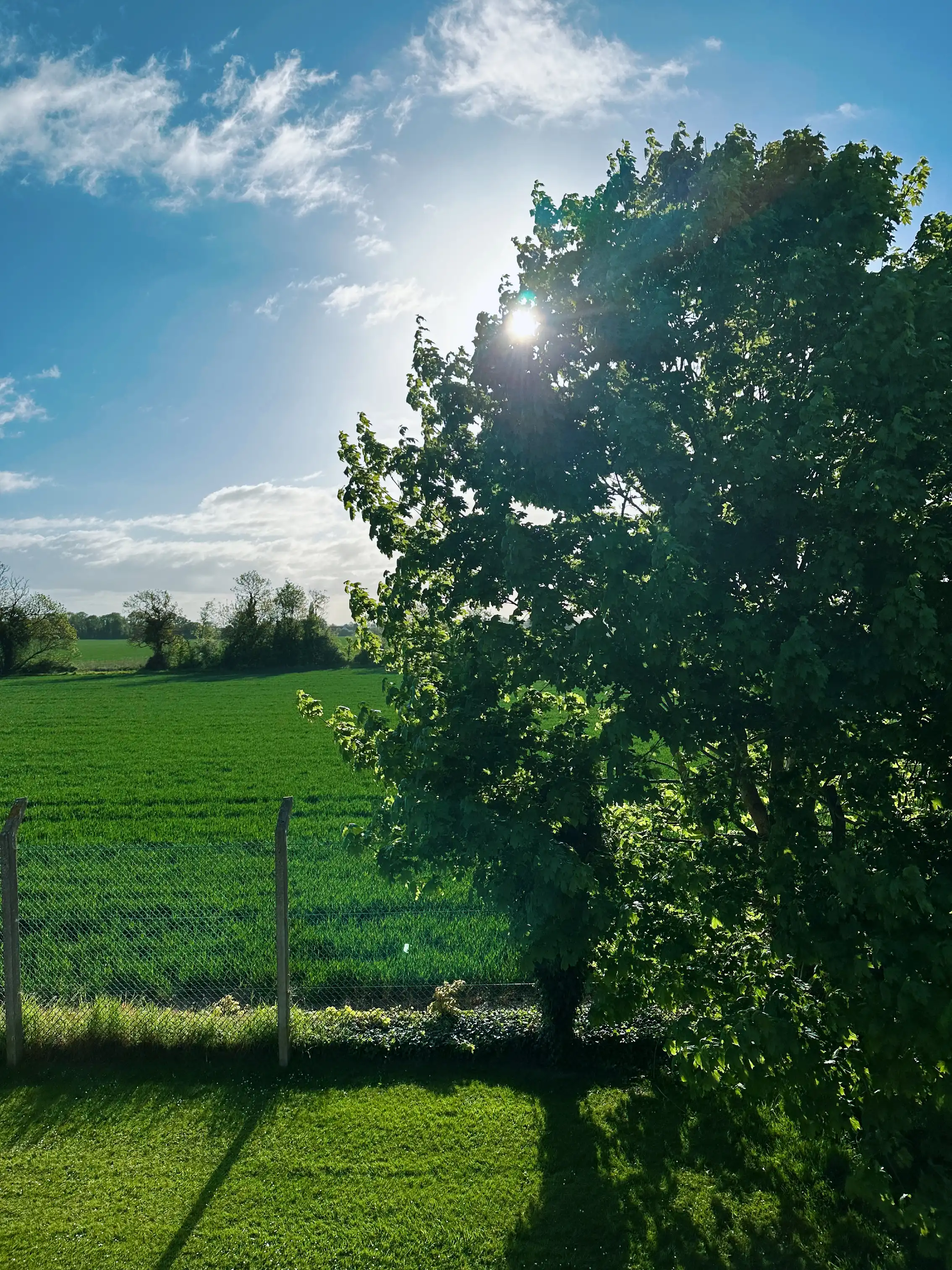 image-20