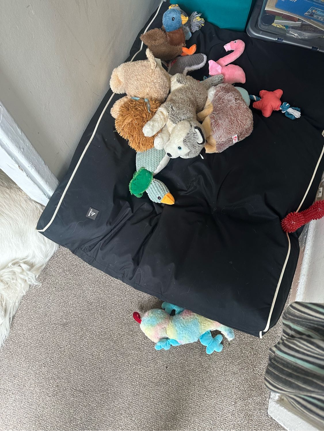 image-13