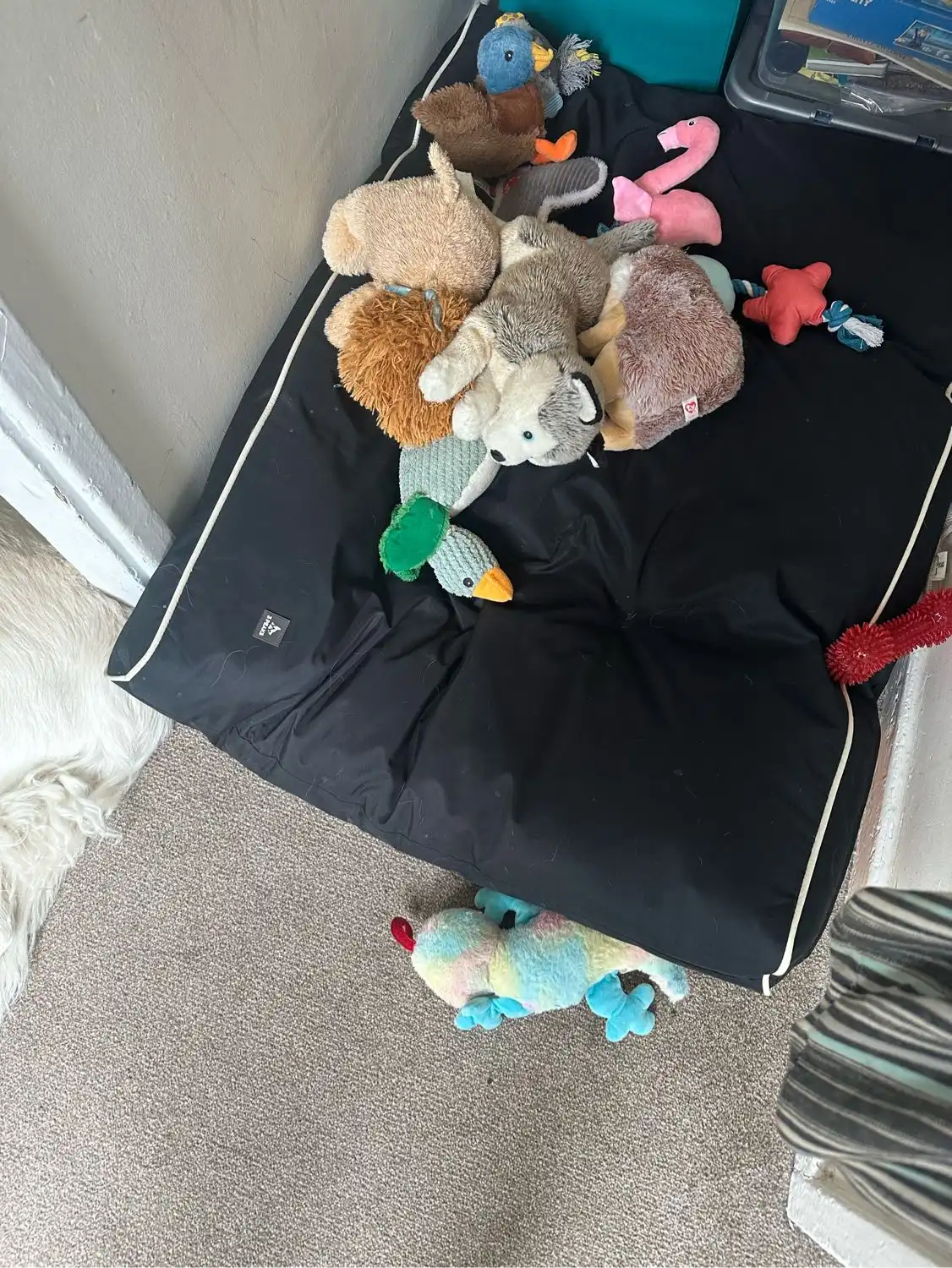 image-13