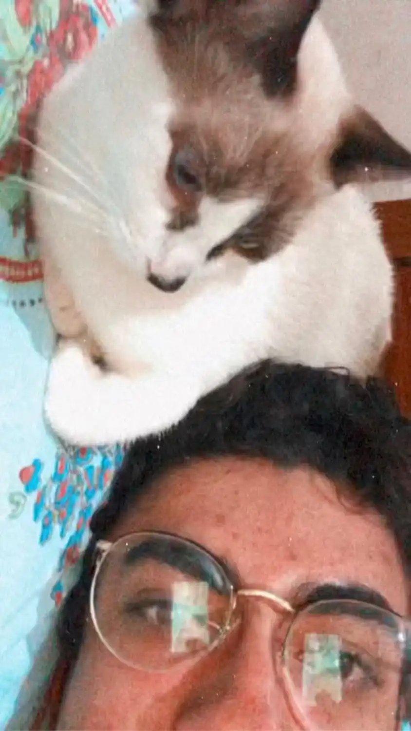 image-5