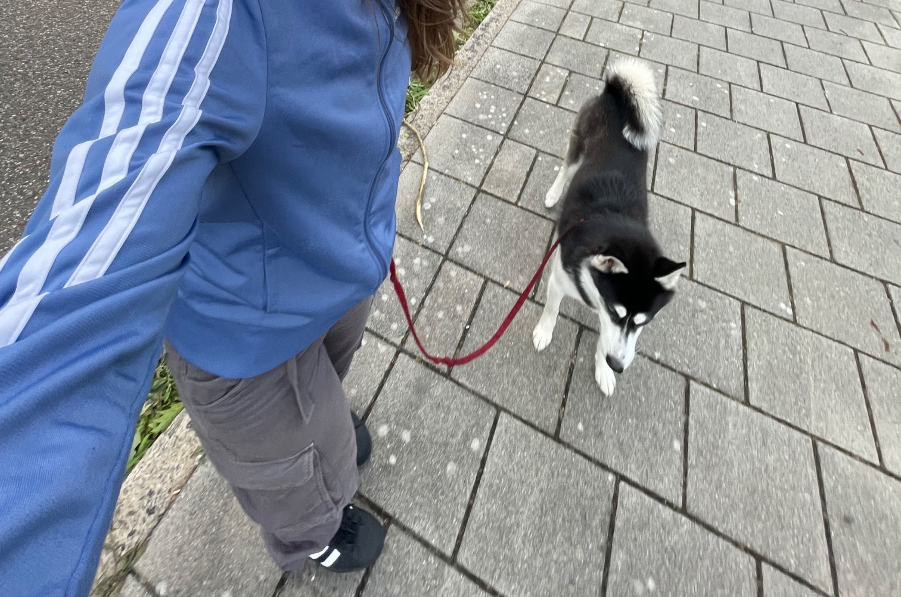 image-11