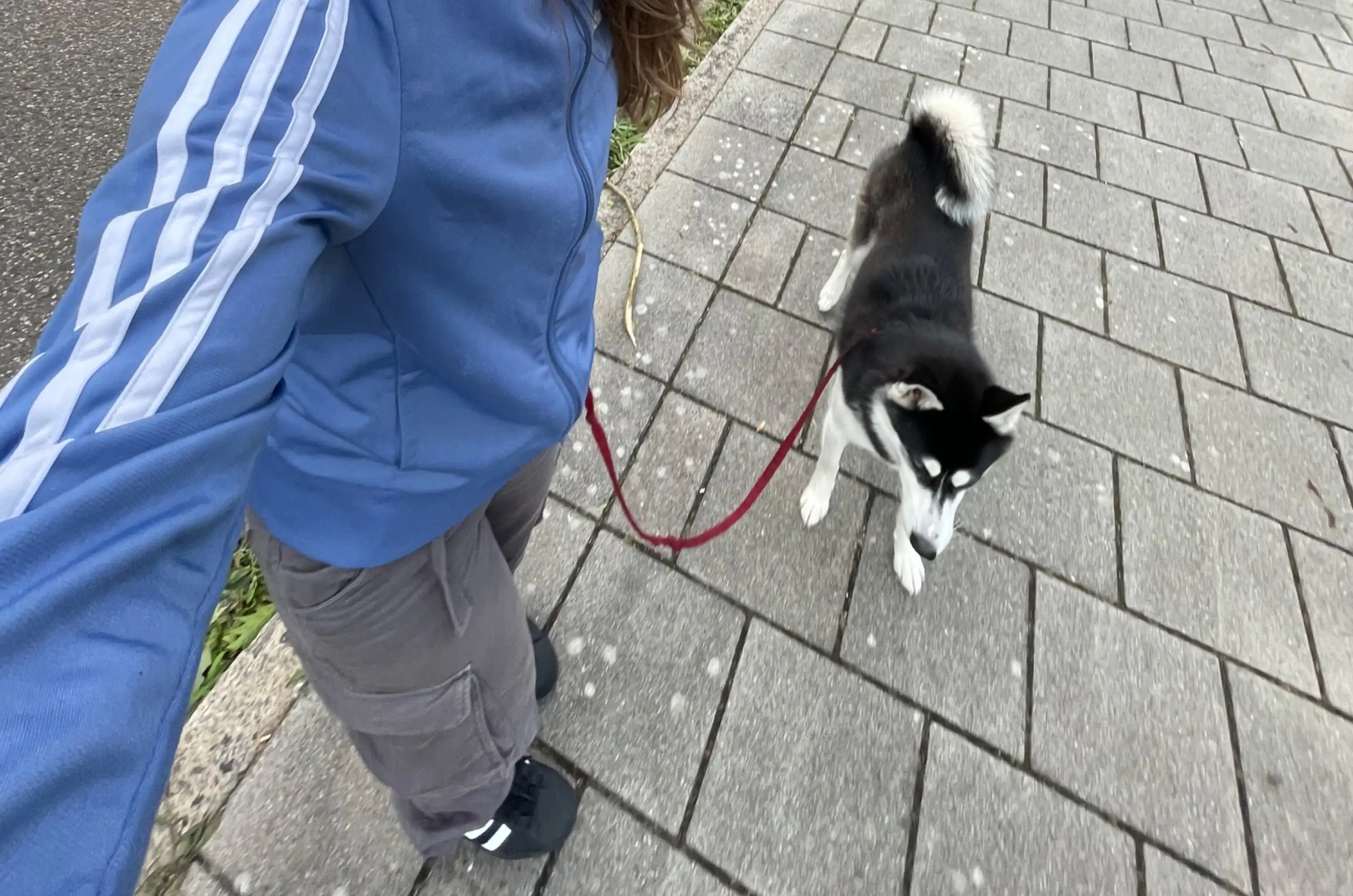 image-11