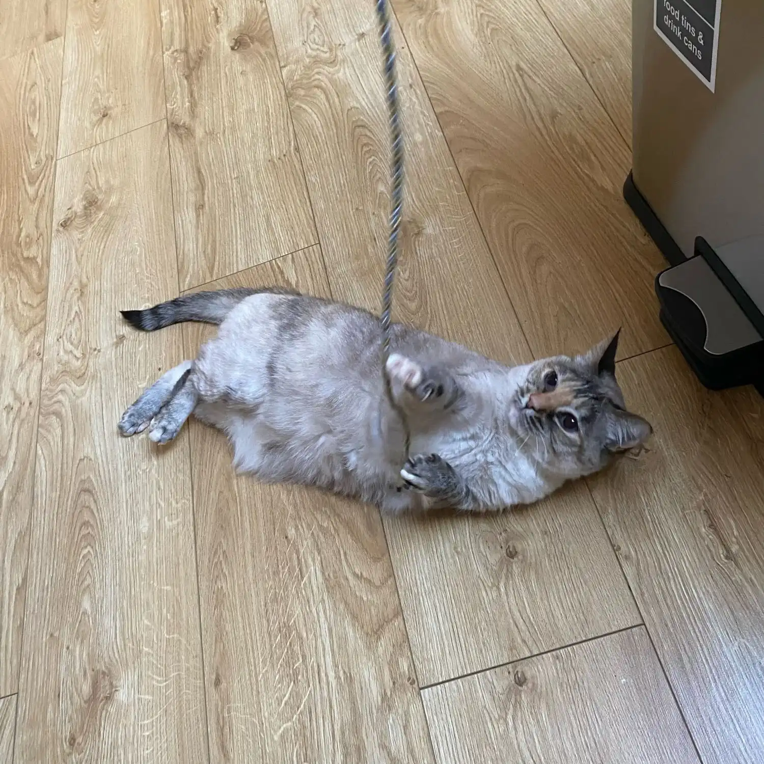 image-17