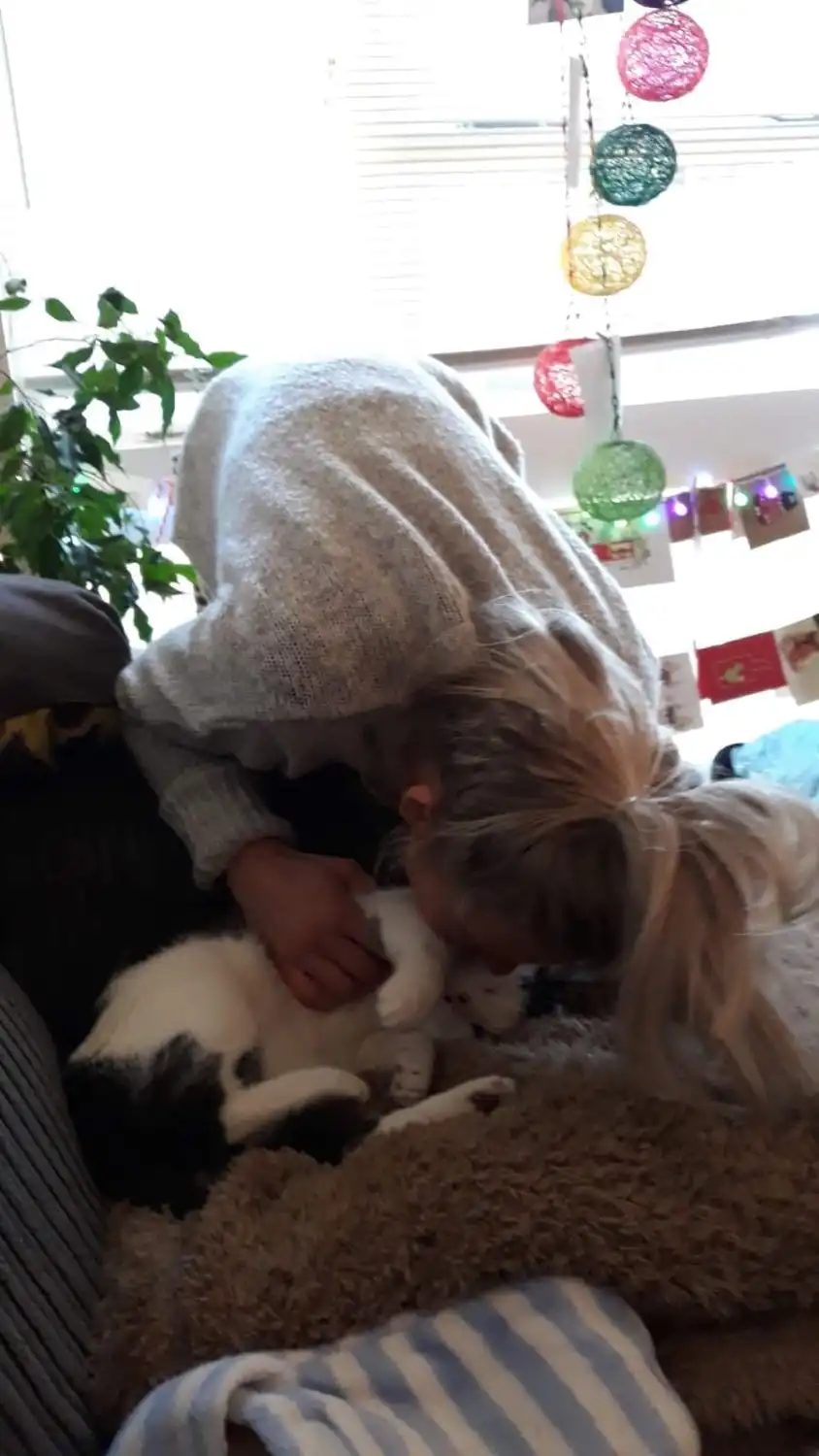 image-6
