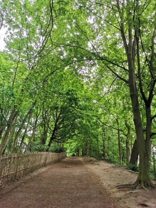 image-8