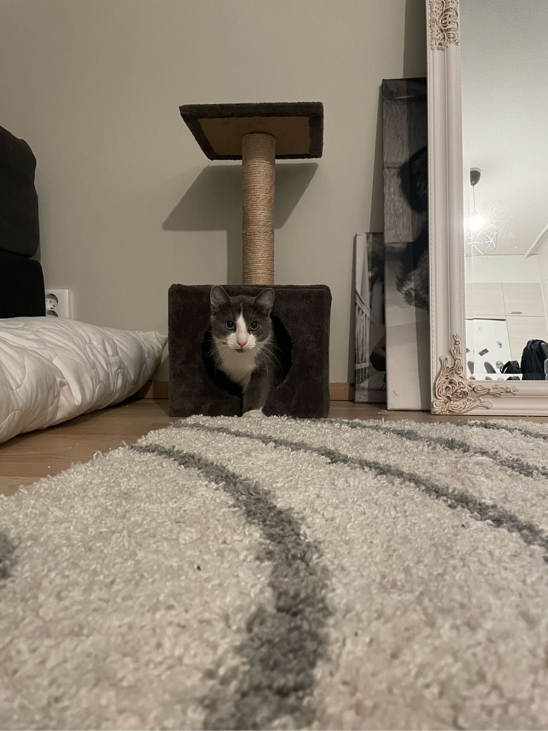 image-11