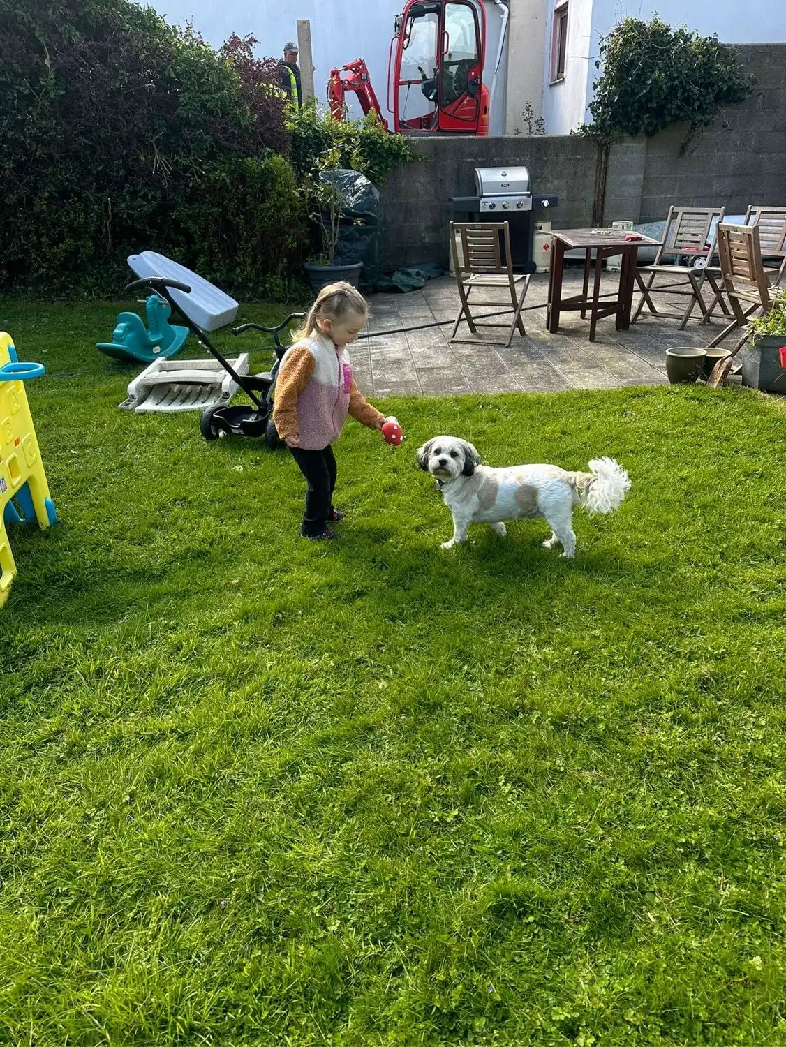 image-17