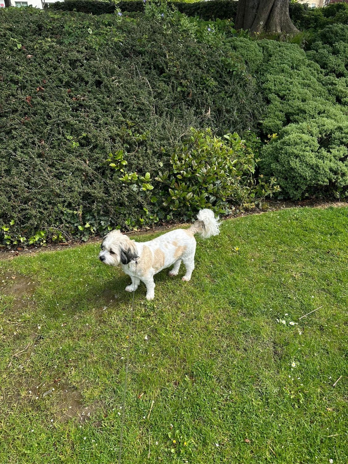 image-15