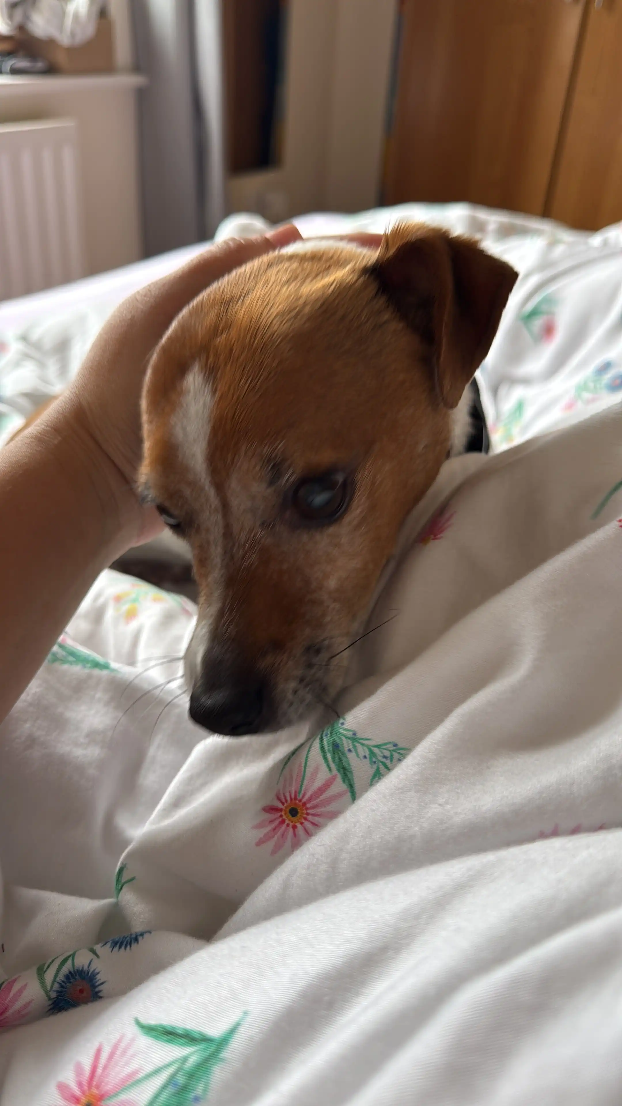 image-41