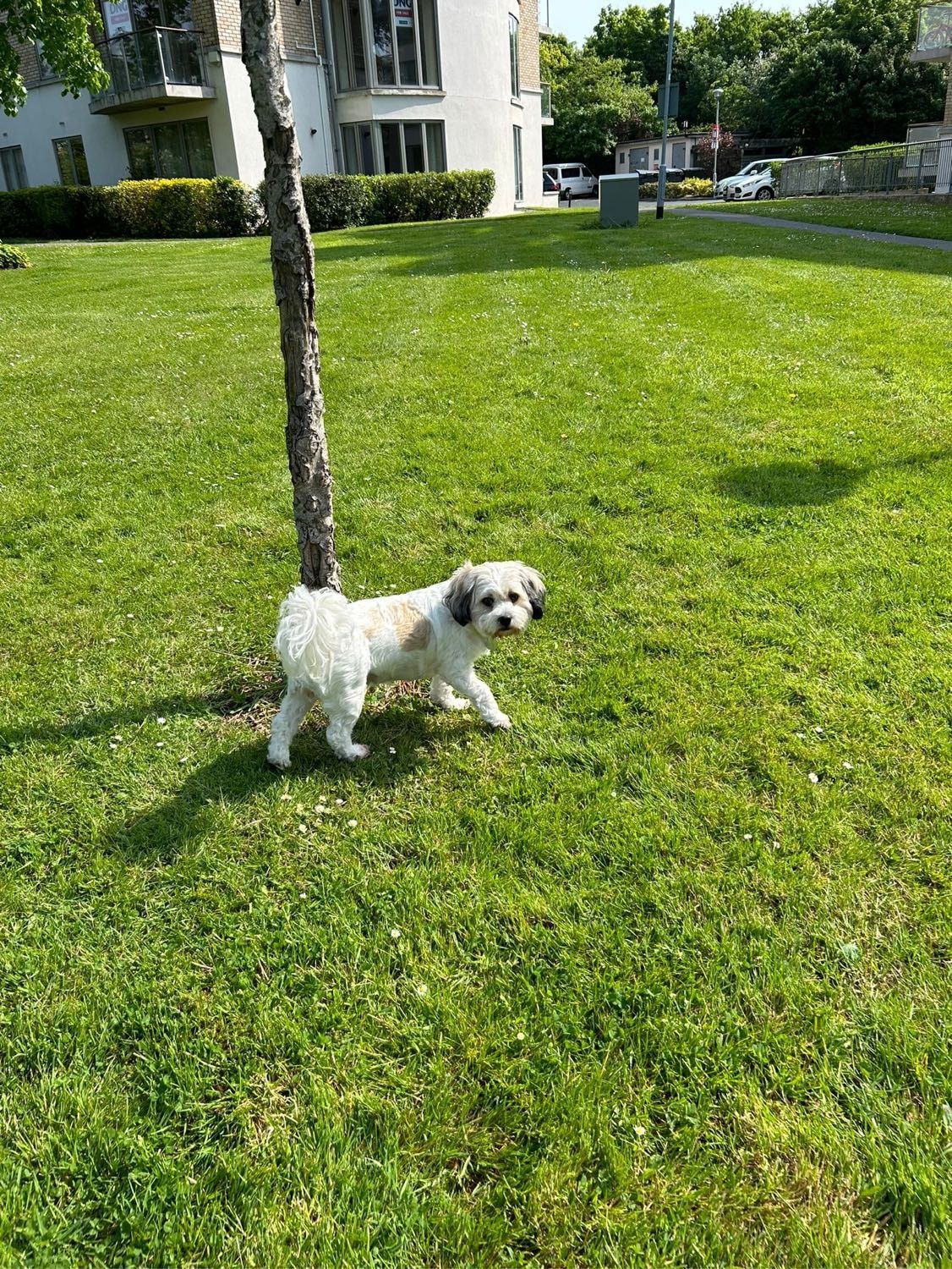 image-18