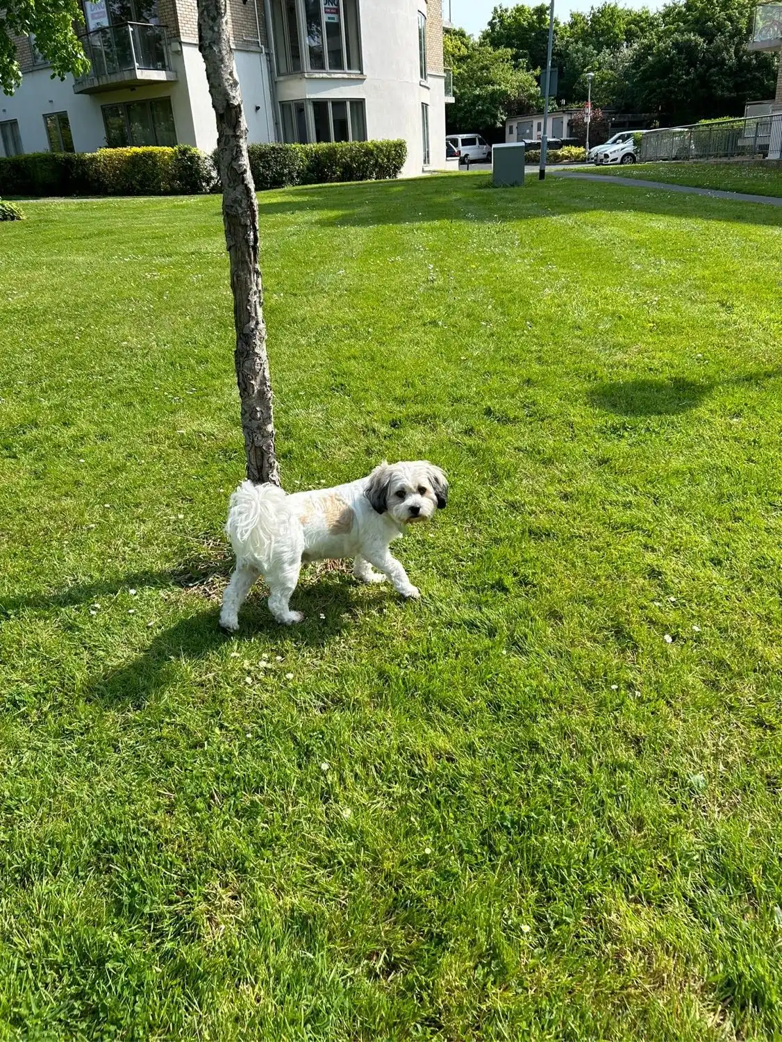 image-18