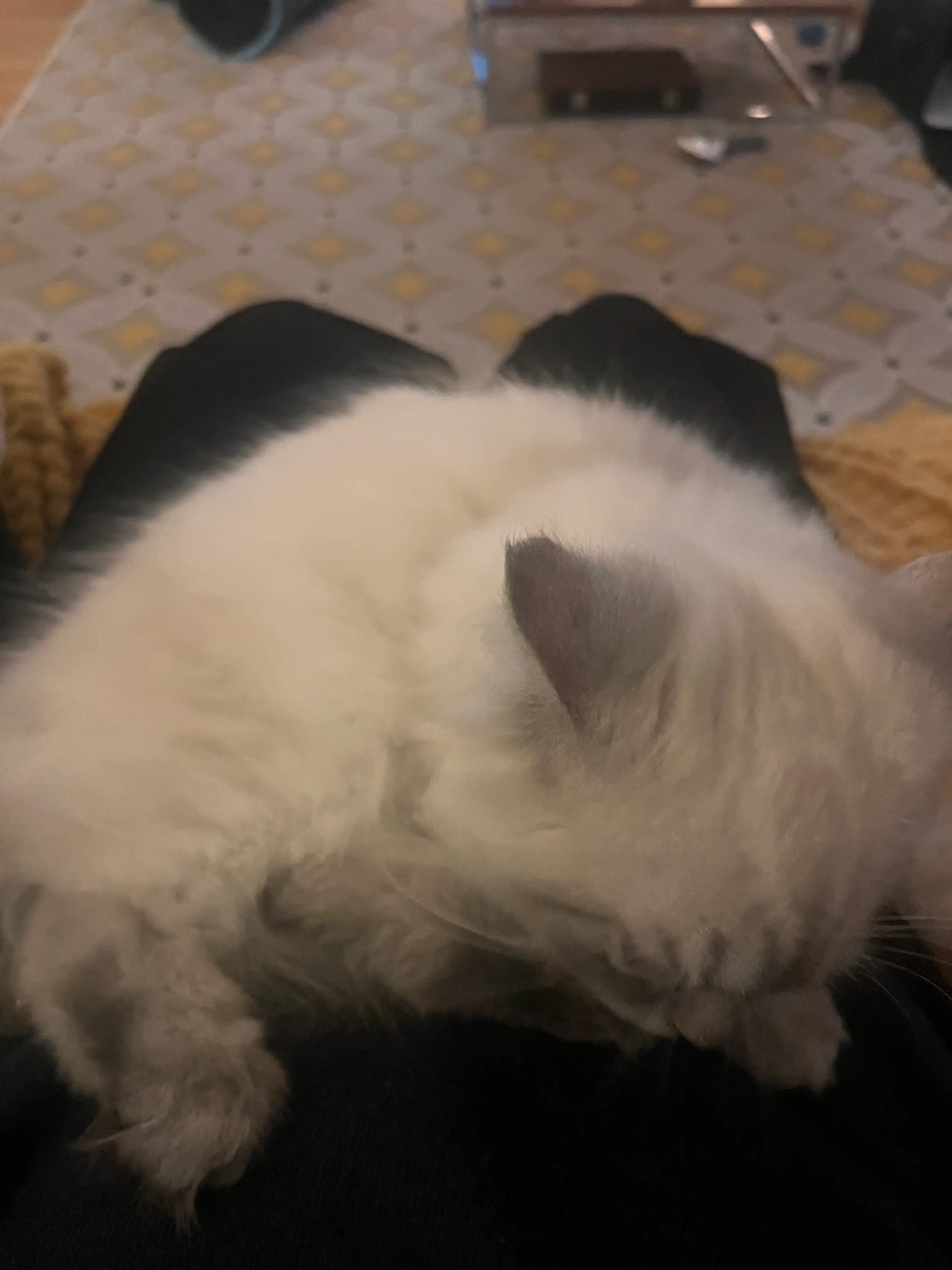 image-8