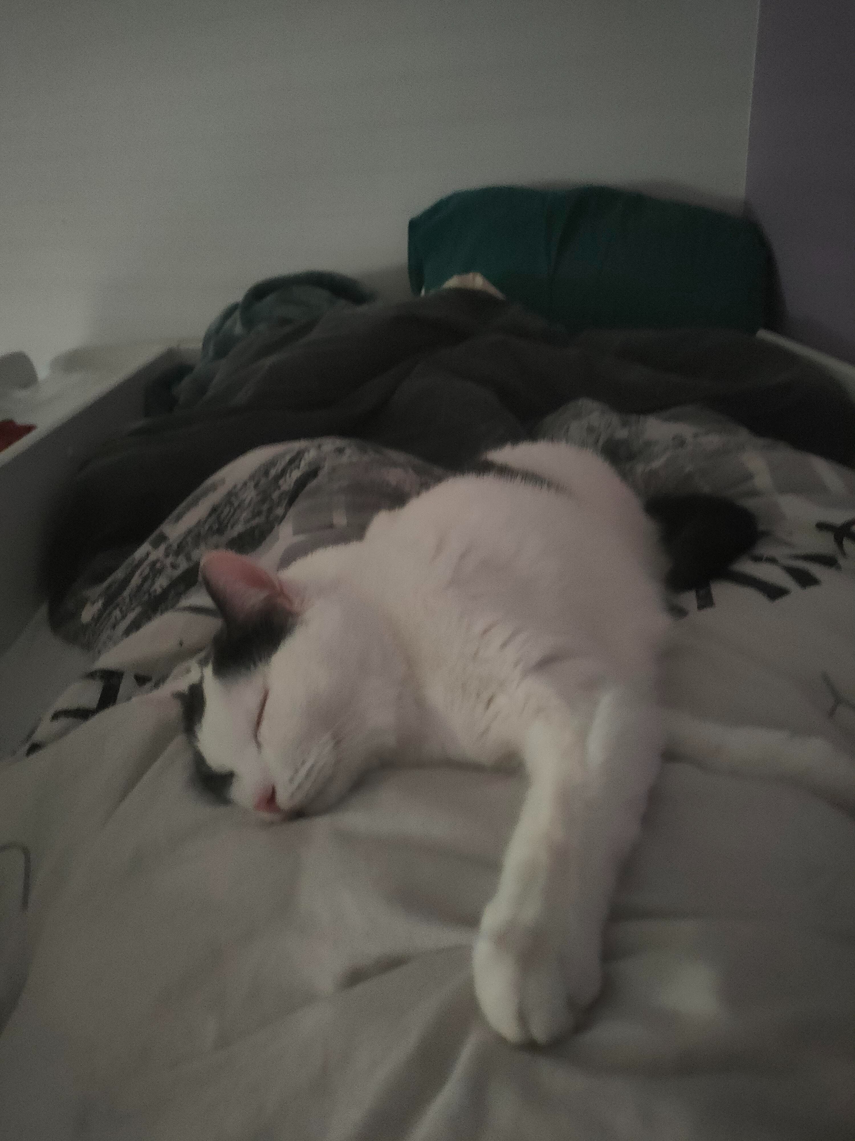 image-6