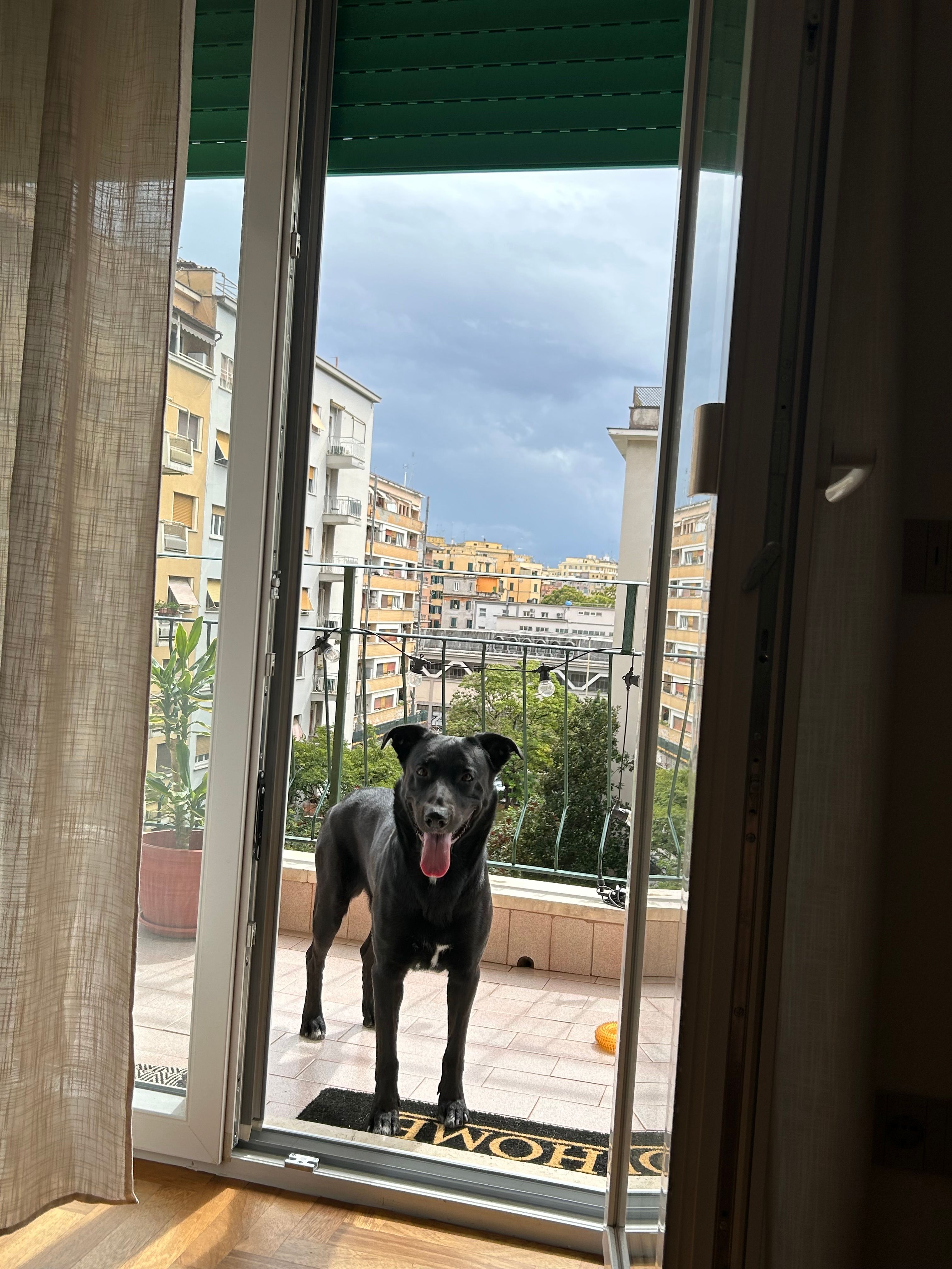 image-10