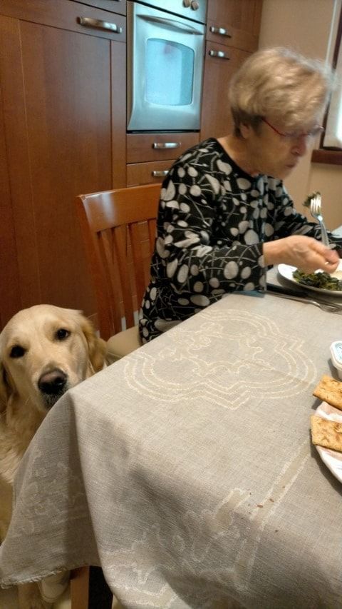 image-21