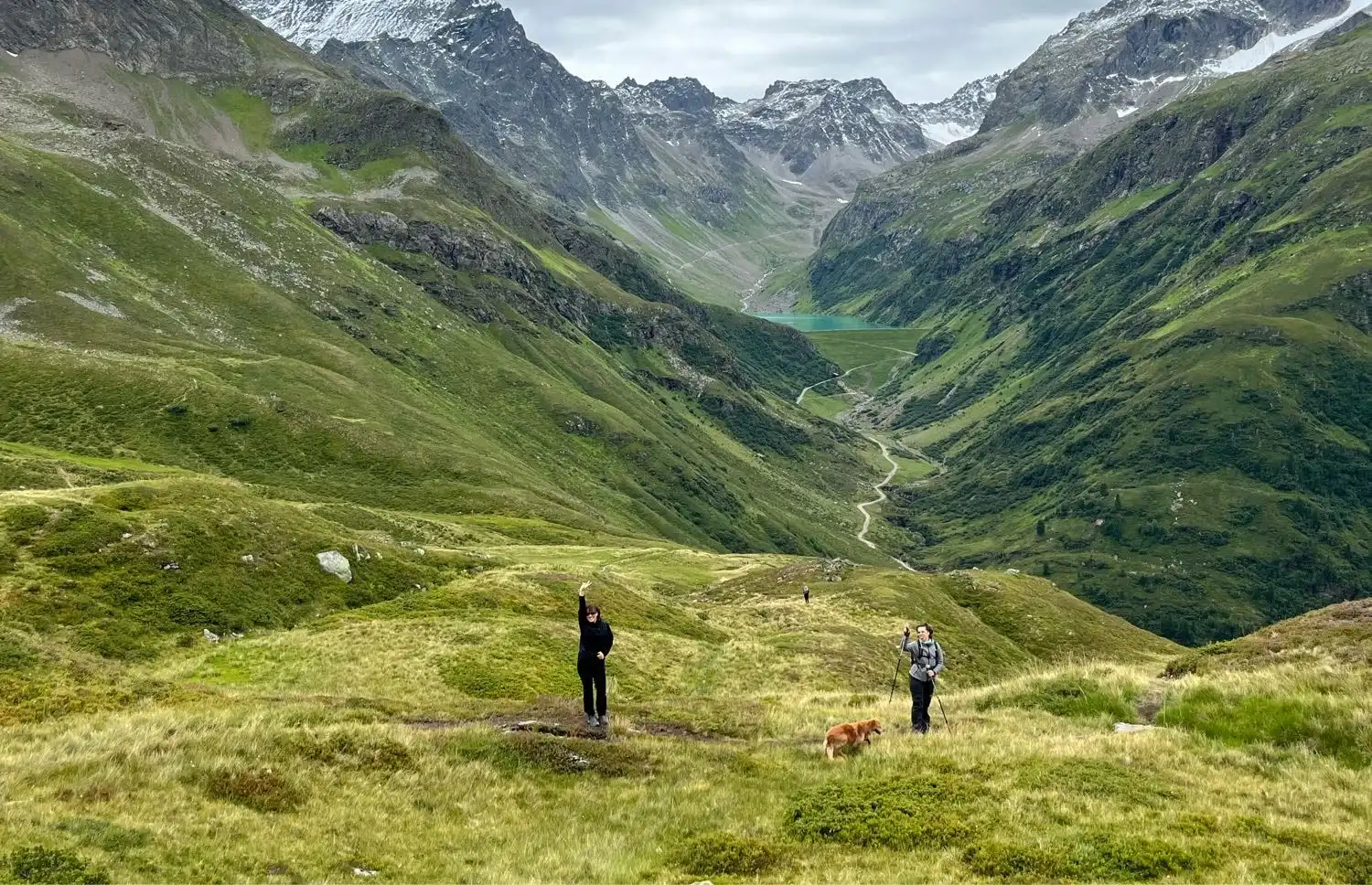 image-7